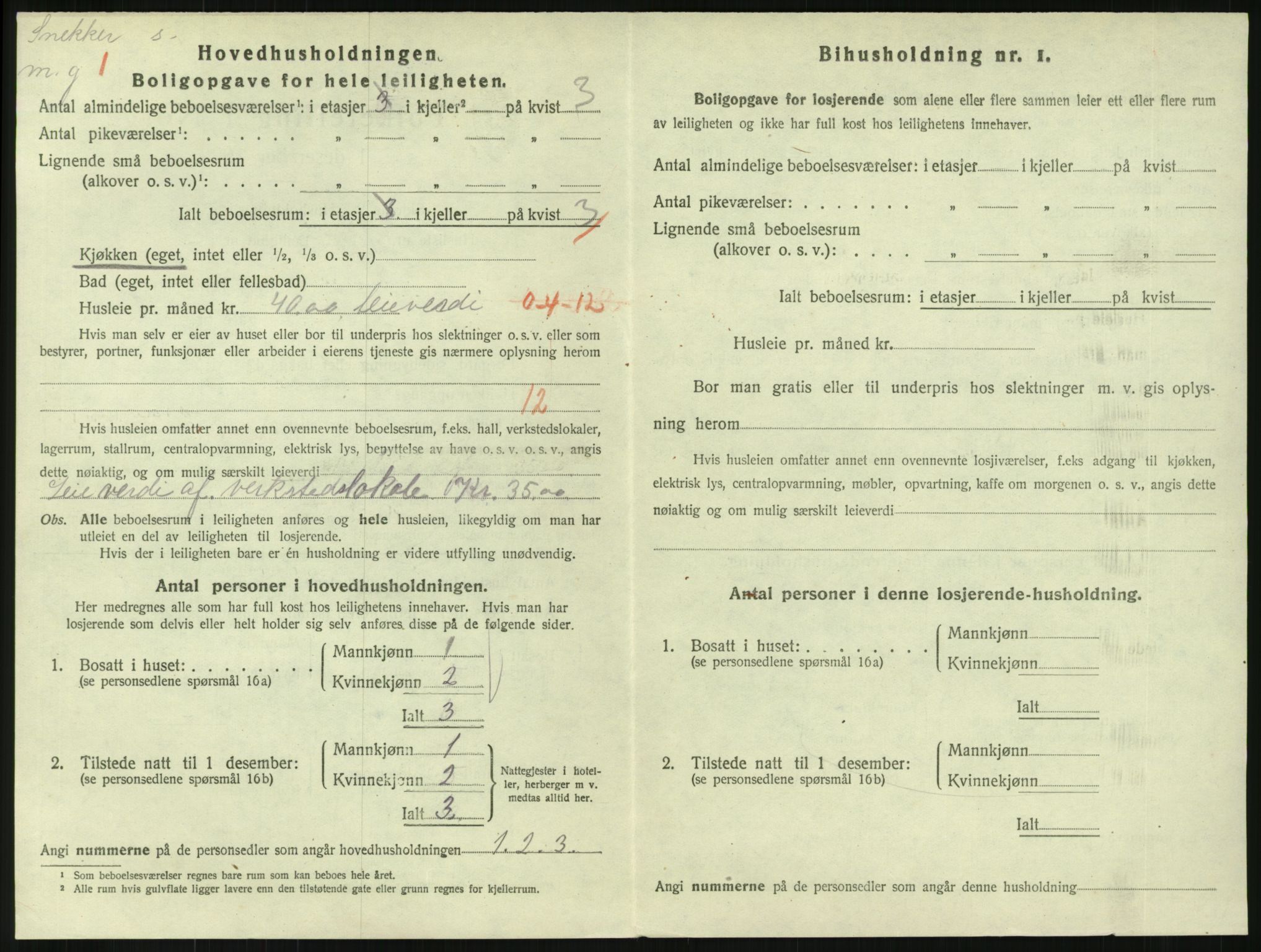 SAKO, 1920 census for Horten, 1920, p. 3786