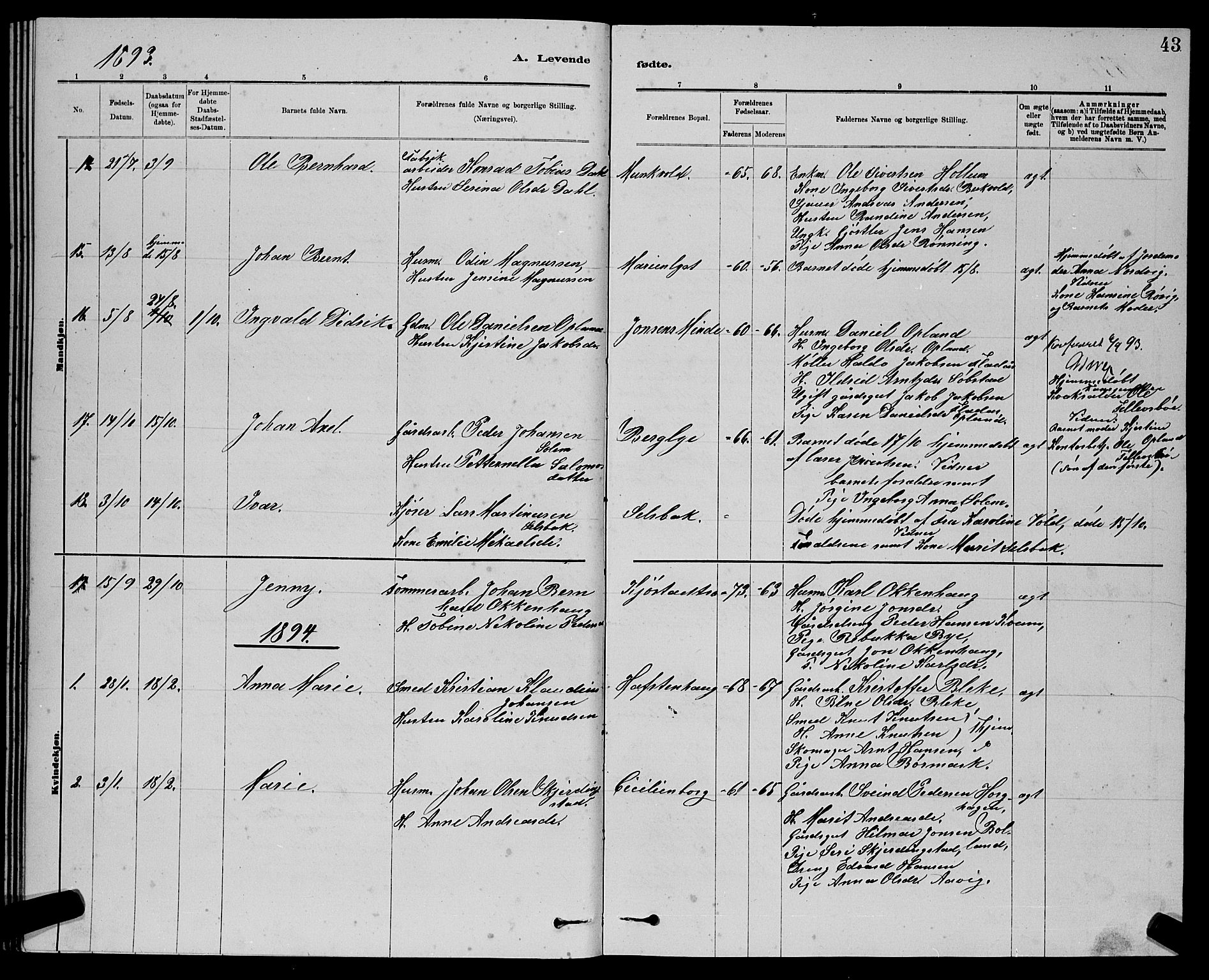 Ministerialprotokoller, klokkerbøker og fødselsregistre - Sør-Trøndelag, SAT/A-1456/611/L0354: Parish register (copy) no. 611C02, 1881-1896, p. 43