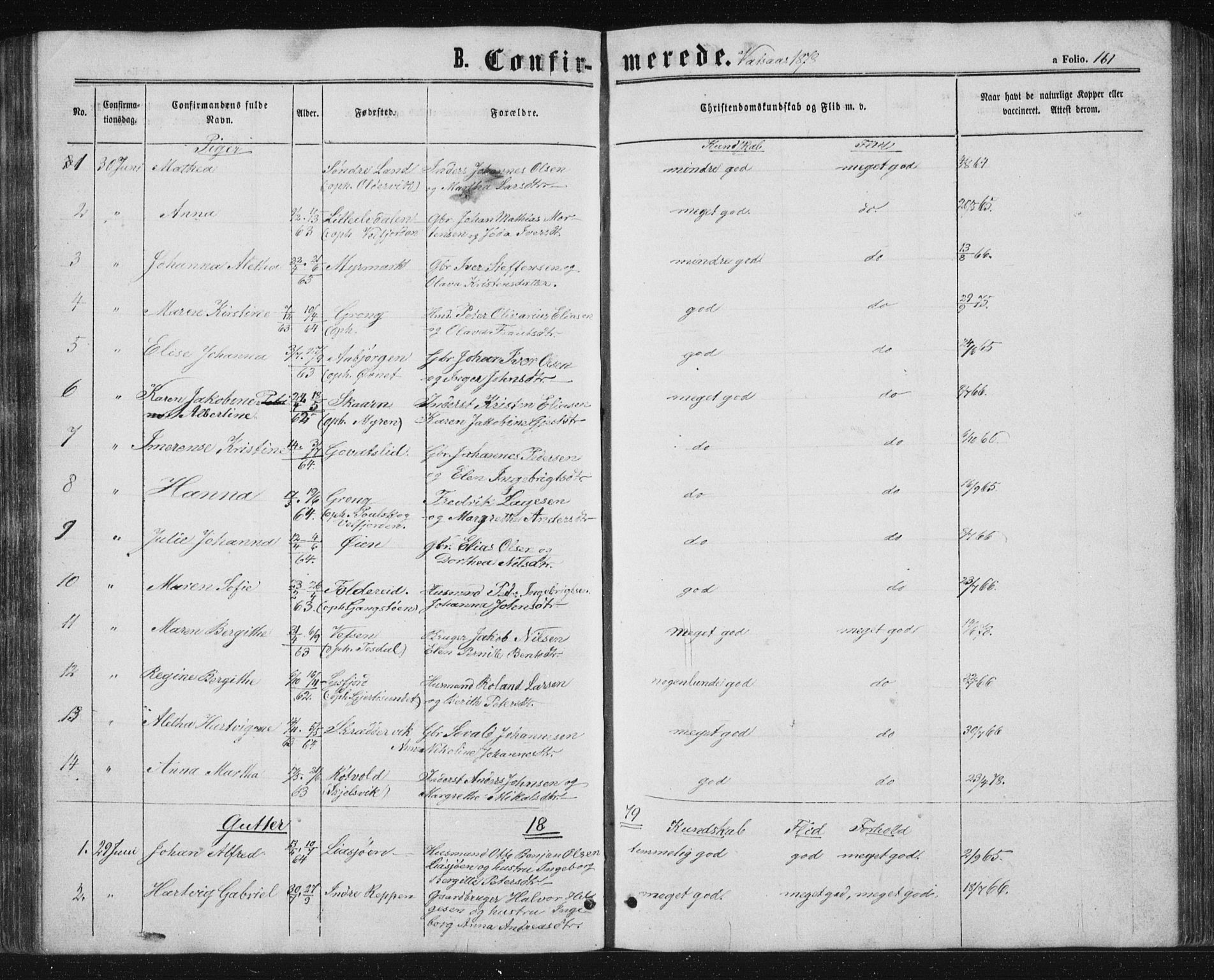 Ministerialprotokoller, klokkerbøker og fødselsregistre - Nordland, AV/SAT-A-1459/810/L0158: Parish register (copy) no. 810C02 /1, 1863-1883, p. 161