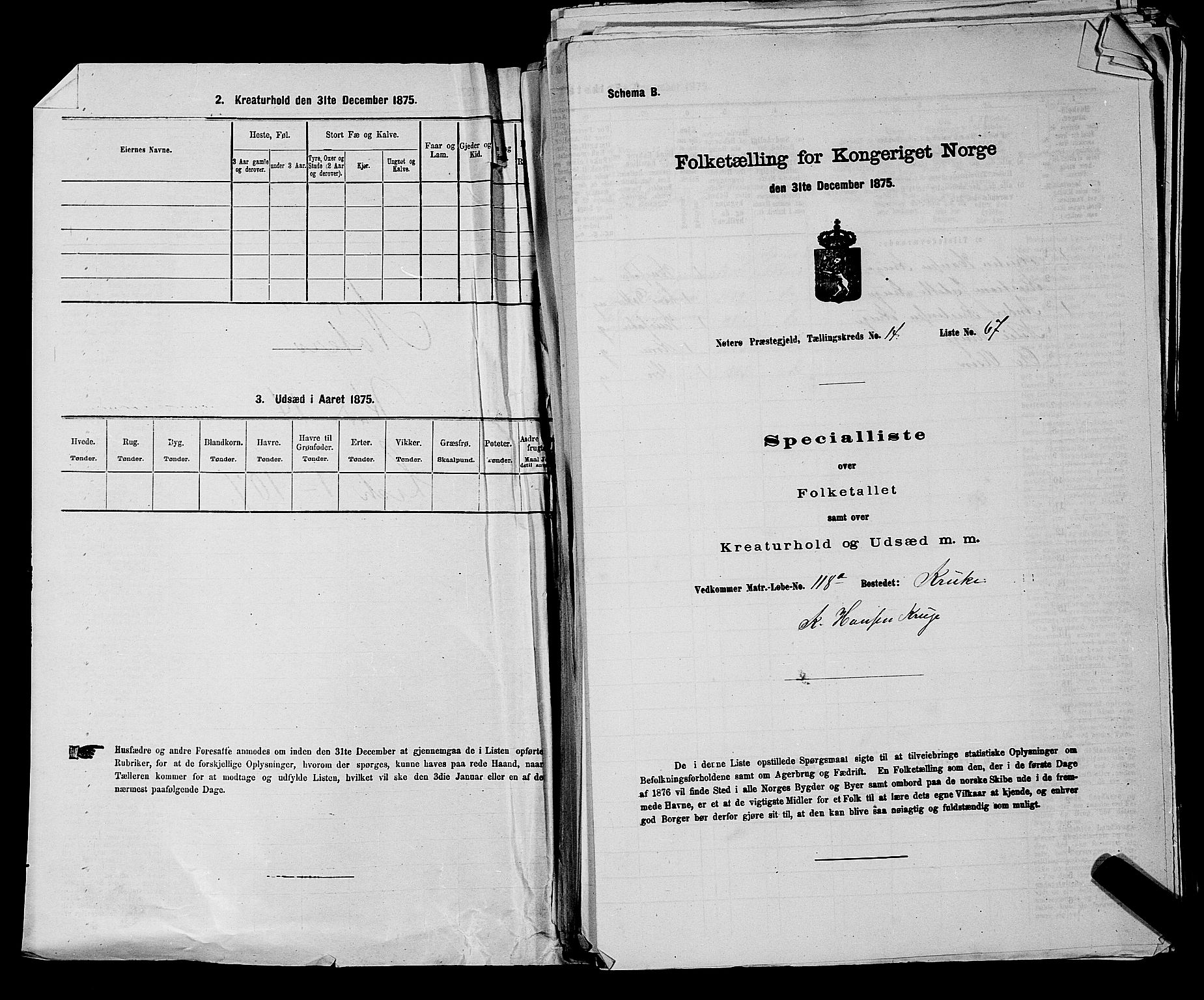 SAKO, 1875 census for 0722P Nøtterøy, 1875, p. 3032