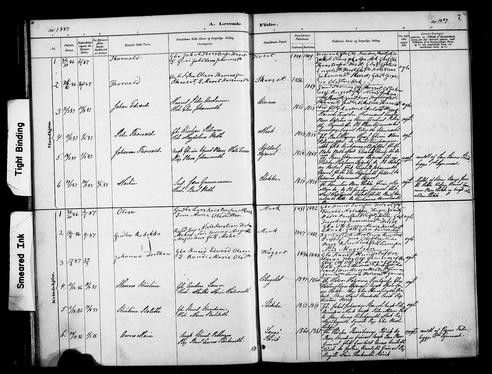 Ministerialprotokoller, klokkerbøker og fødselsregistre - Møre og Romsdal, SAT/A-1454/568/L0809: Parish register (official) no. 568A13, 1884-1900, p. 7