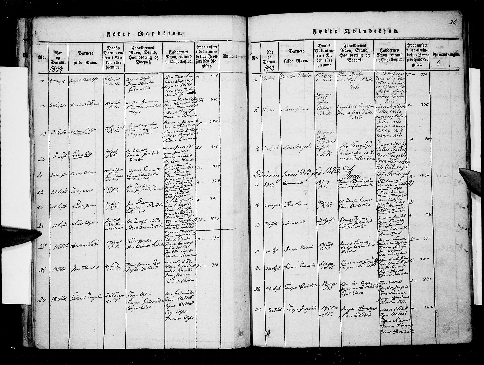 Søndeled sokneprestkontor, AV/SAK-1111-0038/F/Fa/L0001: Parish register (official) no. A 1, 1816-1838, p. 25