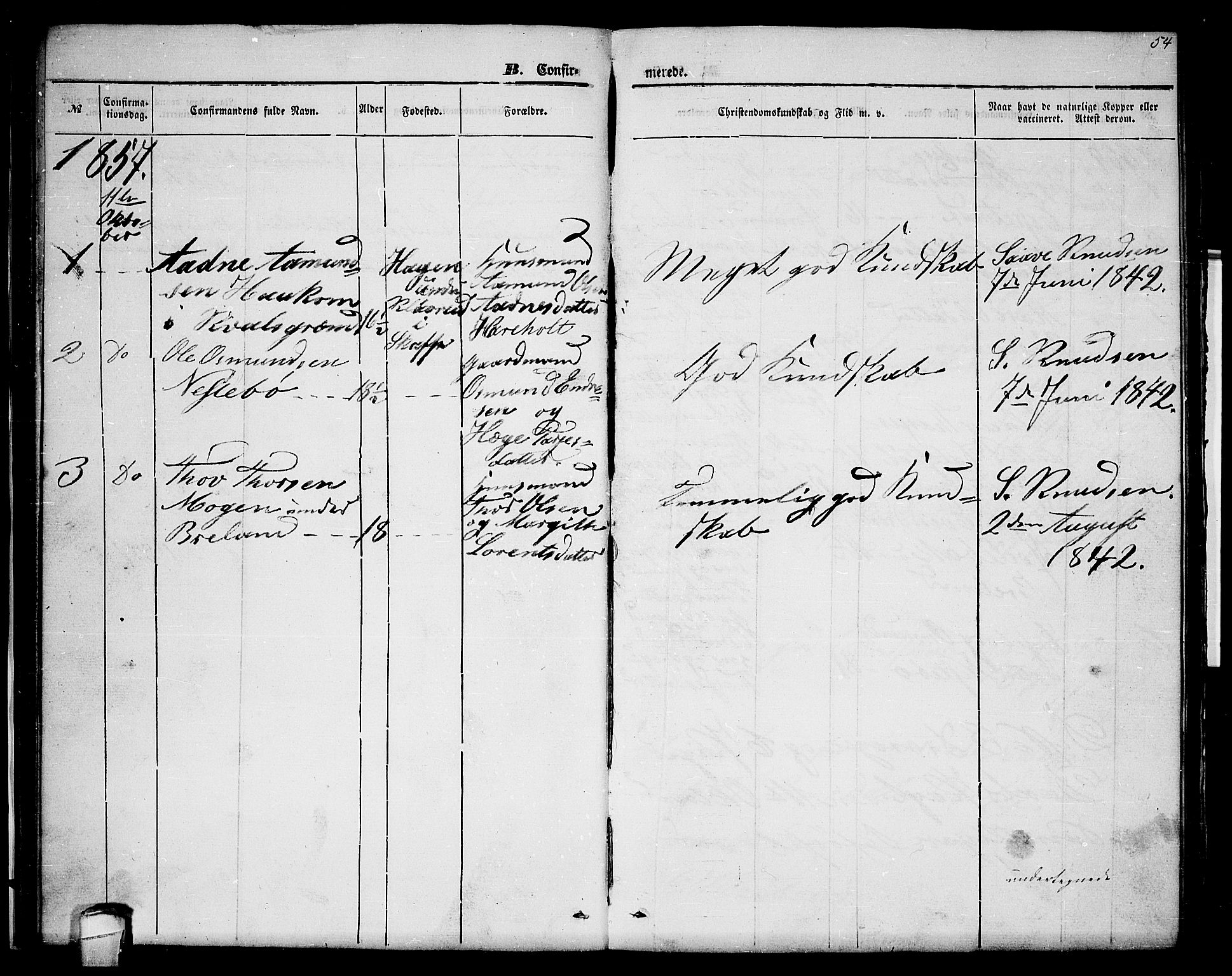 Lårdal kirkebøker, SAKO/A-284/G/Gc/L0002: Parish register (copy) no. III 2, 1852-1877, p. 54