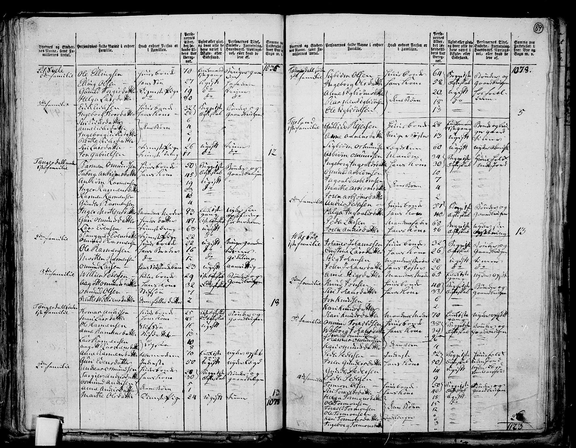 RA, 1801 census for 1115P Helleland, 1801, p. 88b-89a