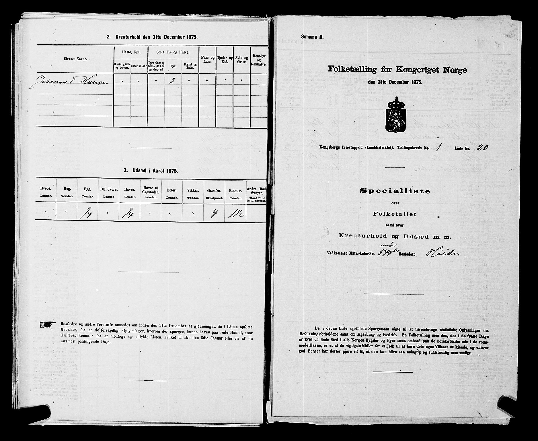 SAKO, 1875 census for 0692L Kongsberg/Kongsberg, 1875, p. 53