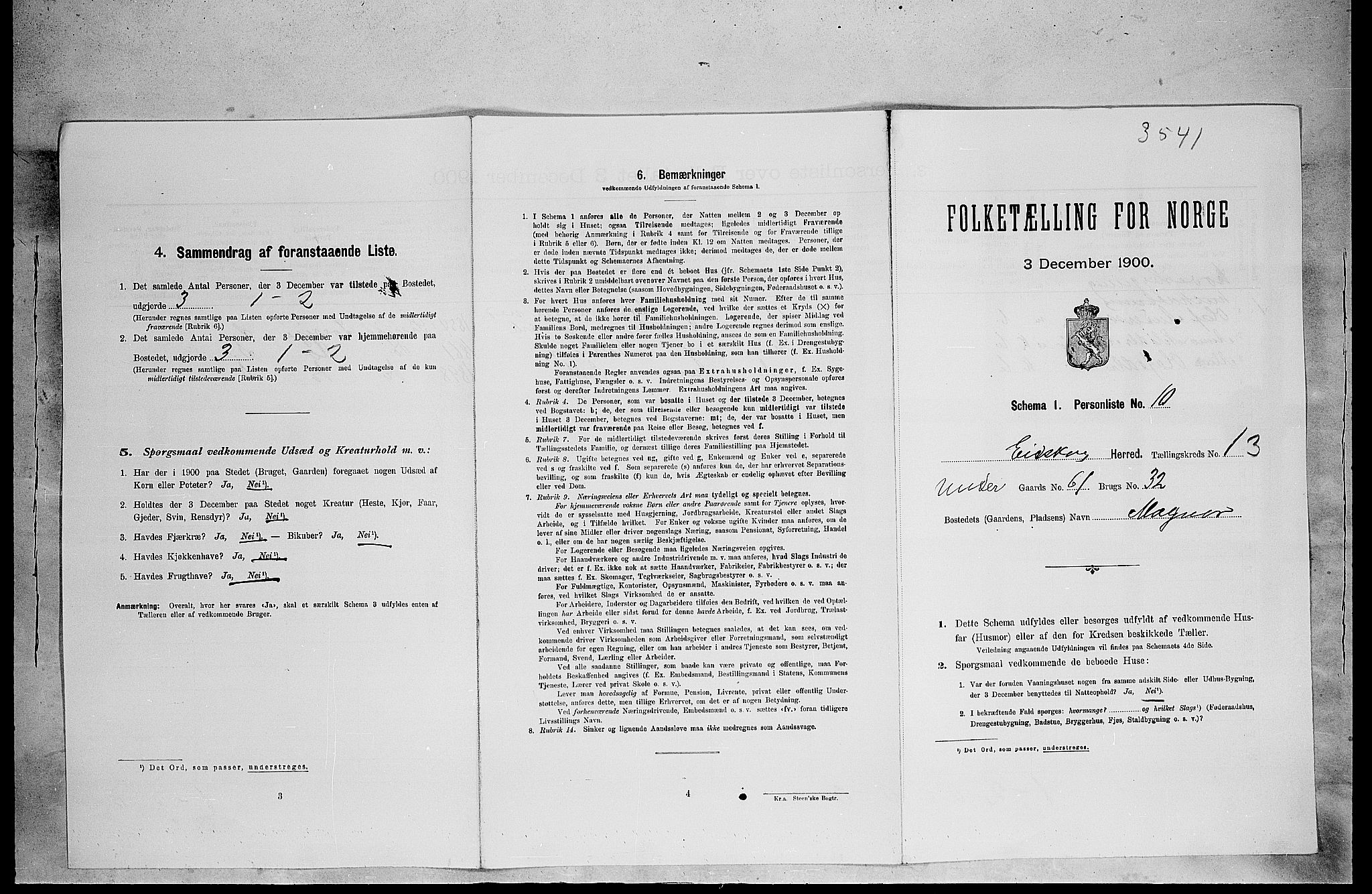 SAH, 1900 census for Eidskog, 1900, p. 1866