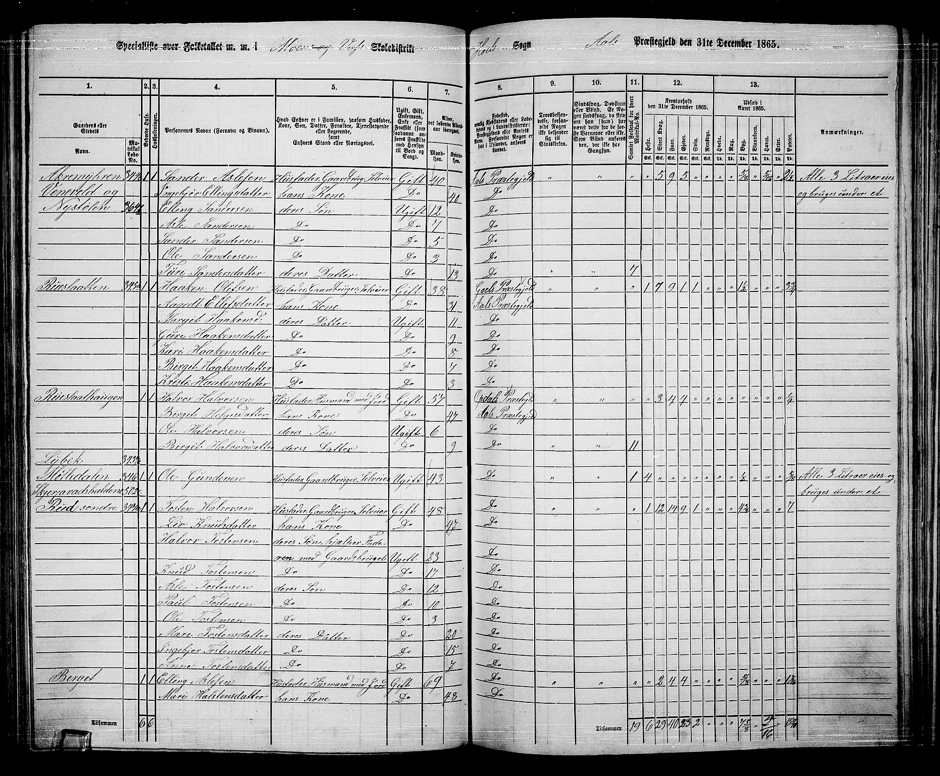 RA, 1865 census for Ål, 1865, p. 173