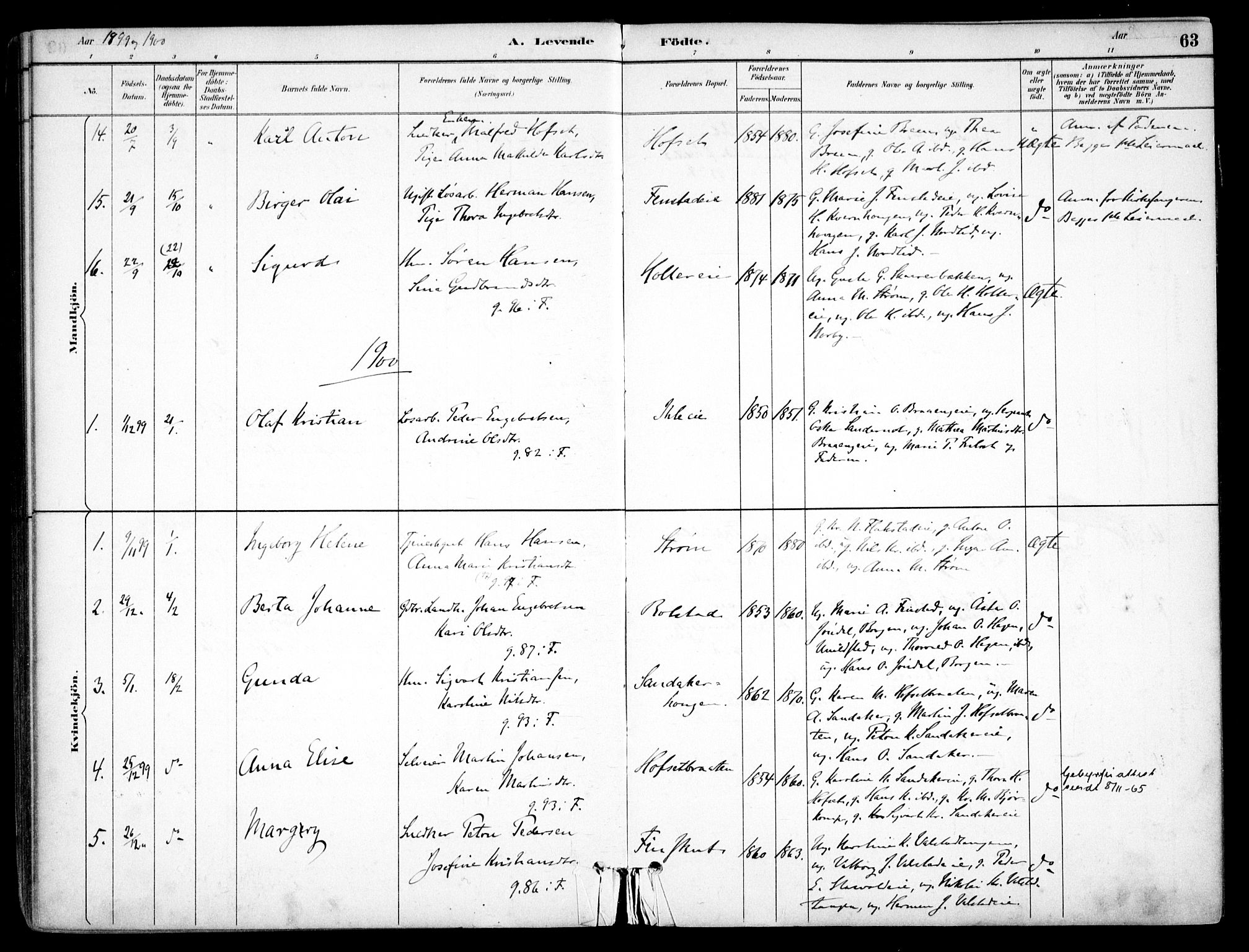 Nes prestekontor Kirkebøker, AV/SAO-A-10410/F/Fb/L0002: Parish register (official) no. II 2, 1883-1918, p. 63