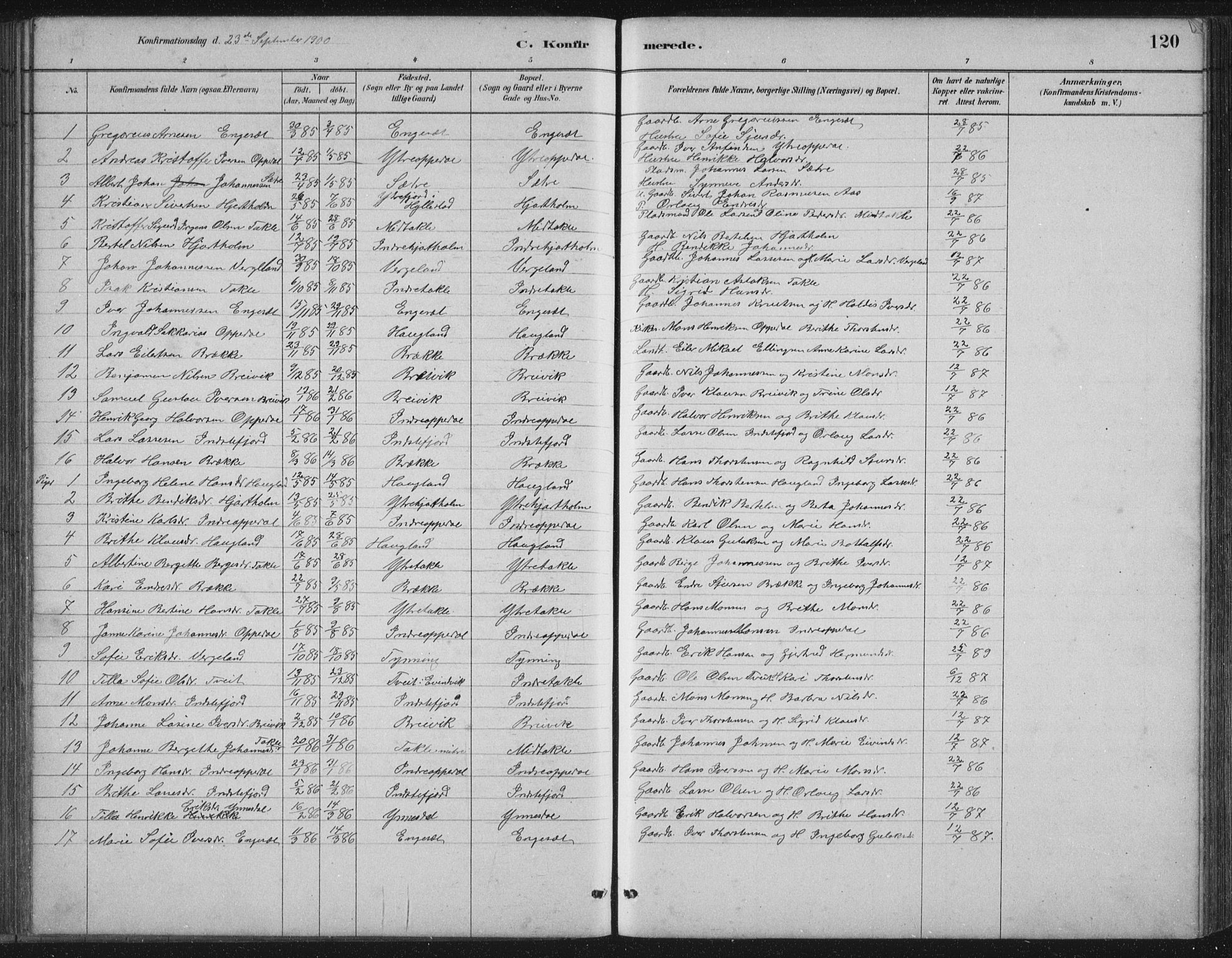 Gulen sokneprestembete, AV/SAB-A-80201/H/Hab/Habc/L0002: Parish register (copy) no. C 2, 1880-1938, p. 120