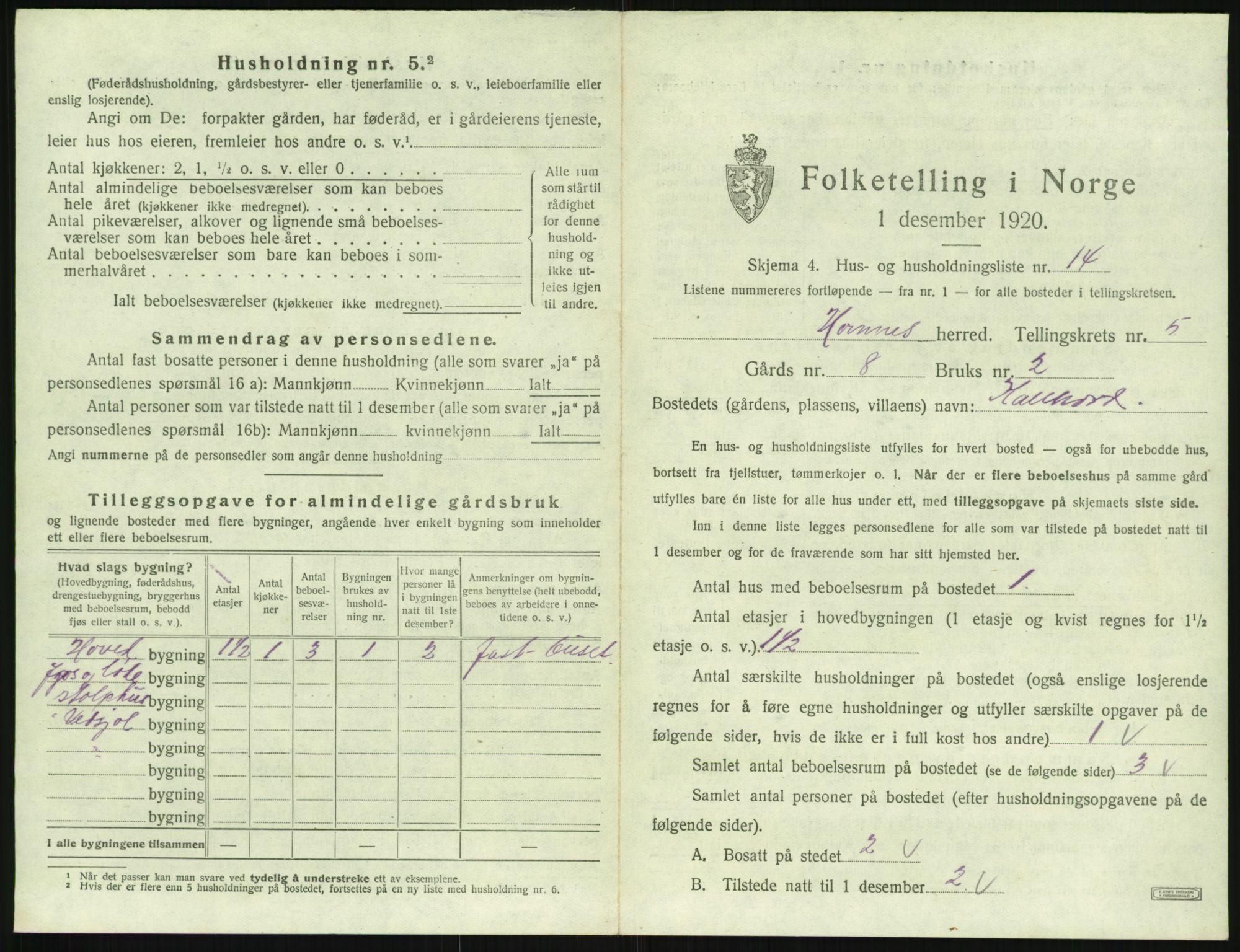 SAK, 1920 census for Hornnes, 1920, p. 229