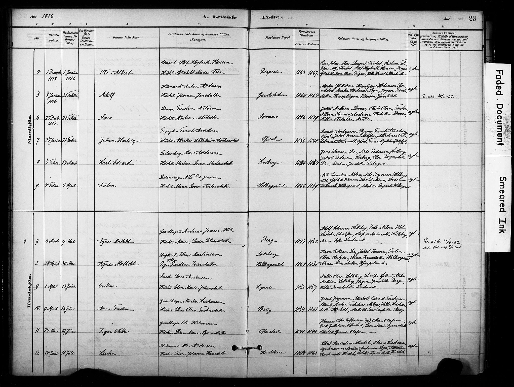 Lardal kirkebøker, AV/SAKO-A-350/F/Fb/L0001: Parish register (official) no. II 1, 1881-1911, p. 23