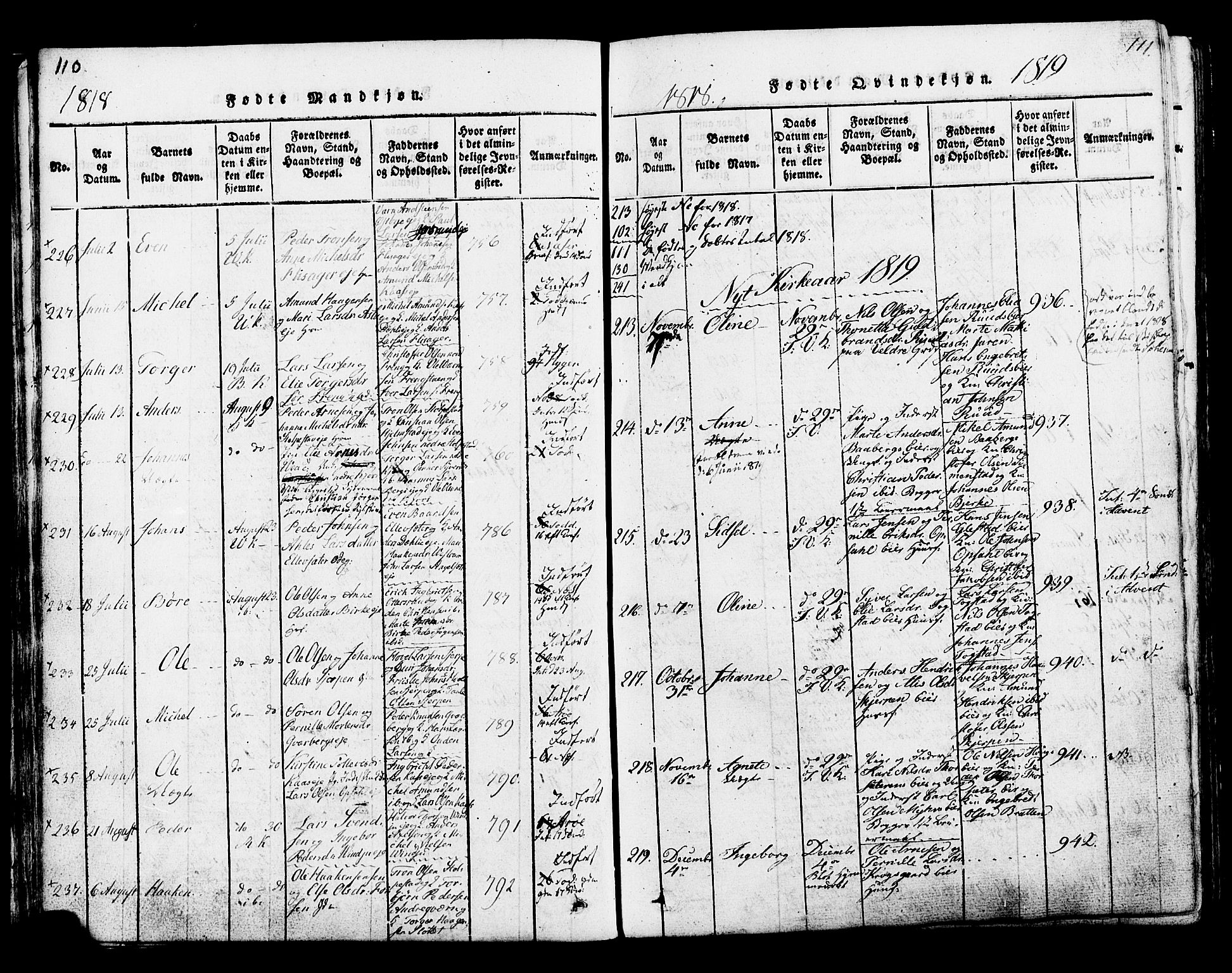 Ringsaker prestekontor, AV/SAH-PREST-014/K/Ka/L0005: Parish register (official) no. 5, 1814-1826, p. 110-111