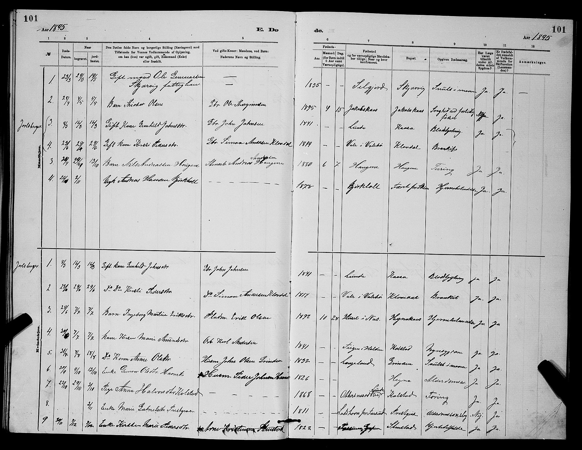 Holla kirkebøker, AV/SAKO-A-272/G/Gb/L0001: Parish register (copy) no. II 1, 1882-1897, p. 101