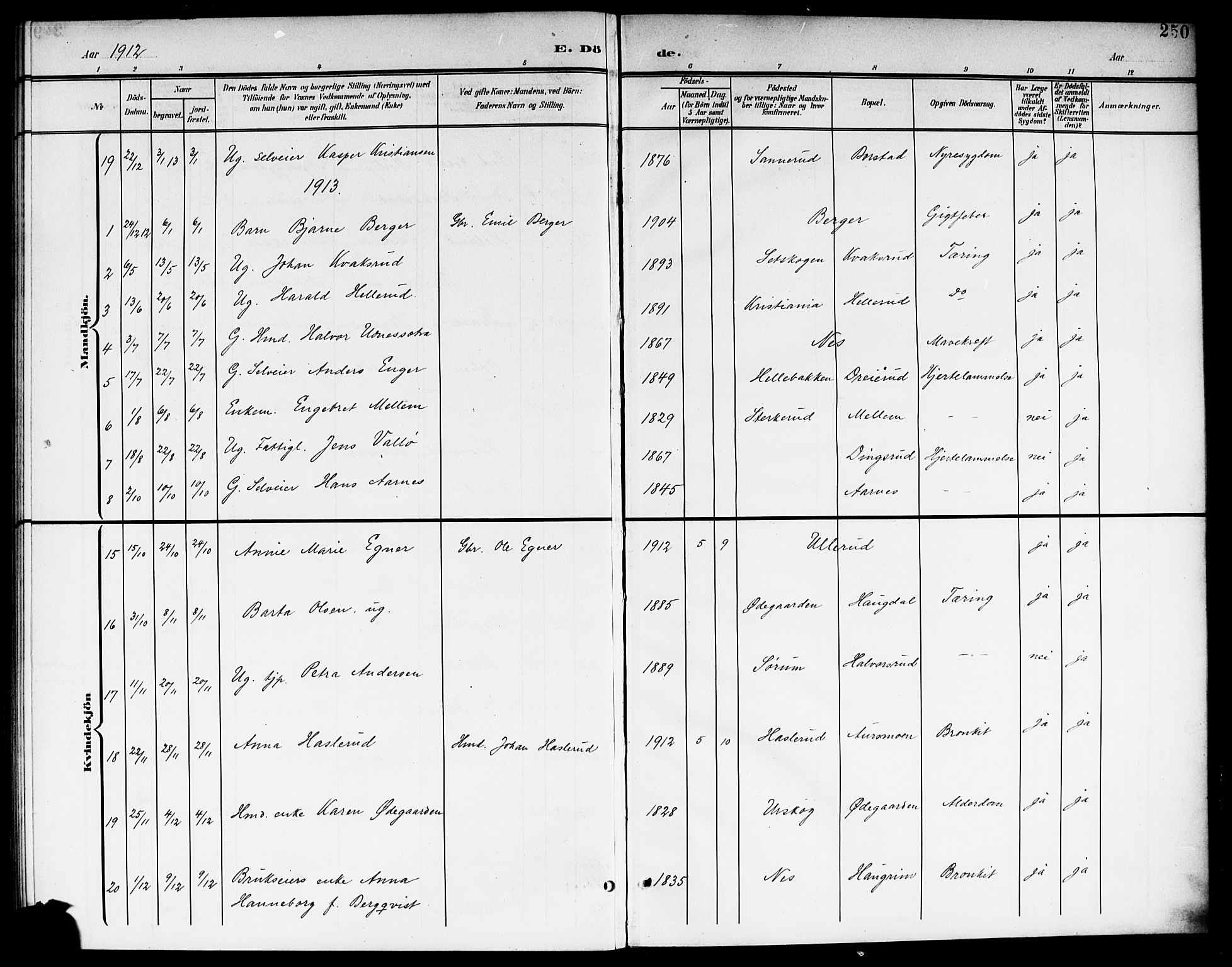 Aurskog prestekontor Kirkebøker, SAO/A-10304a/G/Ga/L0004: Parish register (copy) no. I 4, 1901-1921, p. 250
