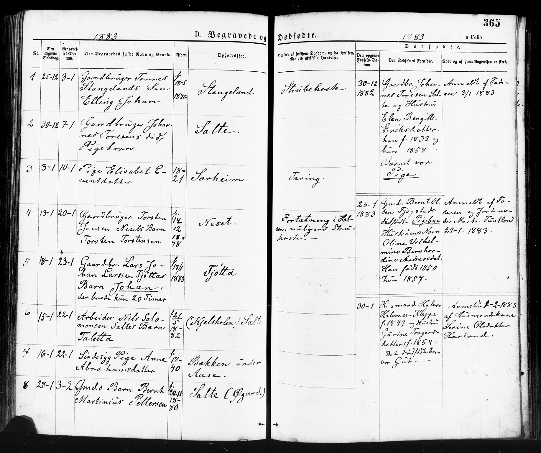 Klepp sokneprestkontor, SAST/A-101803/001/3/30BA/L0006: Parish register (official) no. A 6, 1871-1885, p. 365