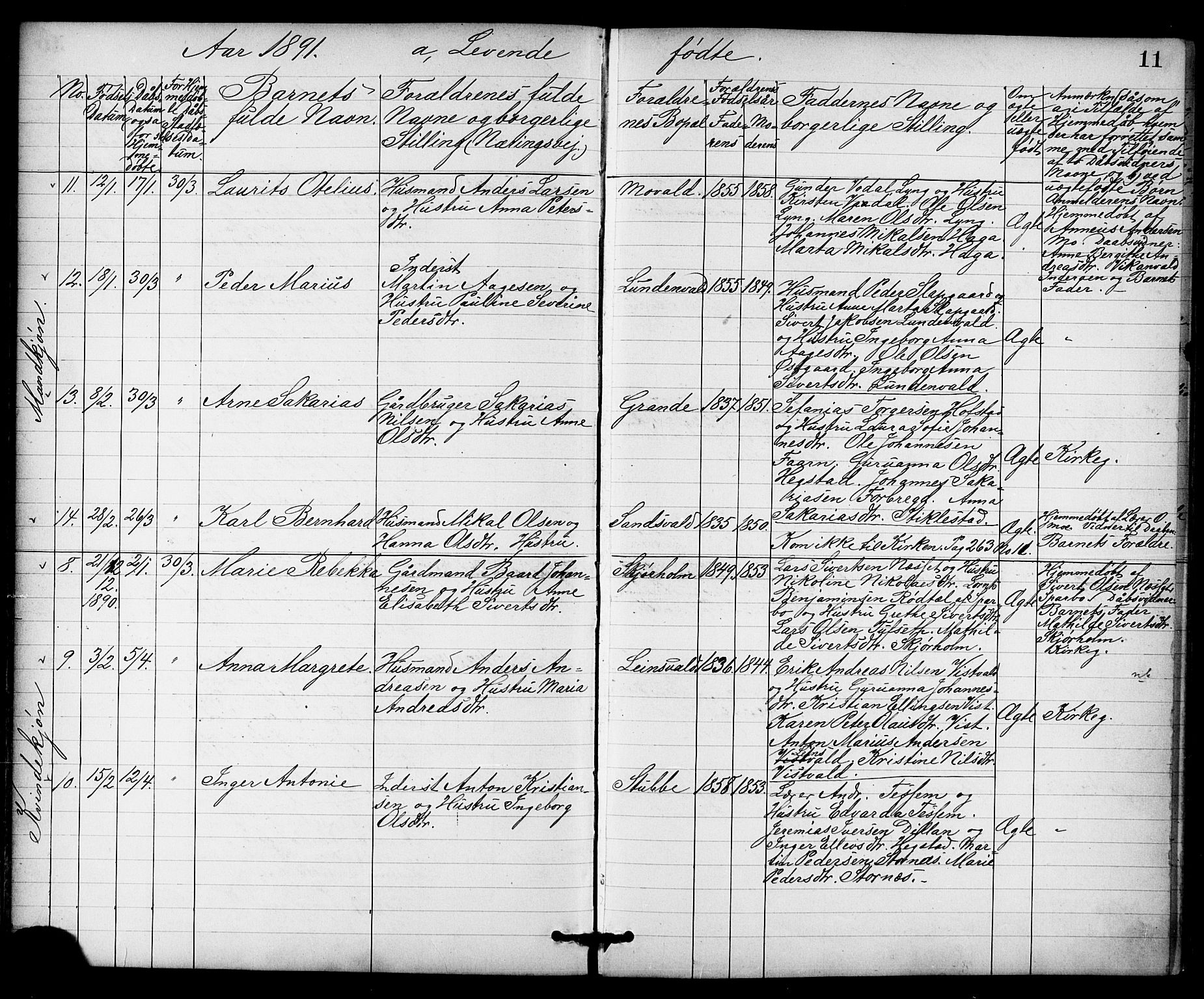 Ministerialprotokoller, klokkerbøker og fødselsregistre - Nord-Trøndelag, AV/SAT-A-1458/723/L0257: Parish register (copy) no. 723C05, 1890-1907, p. 11