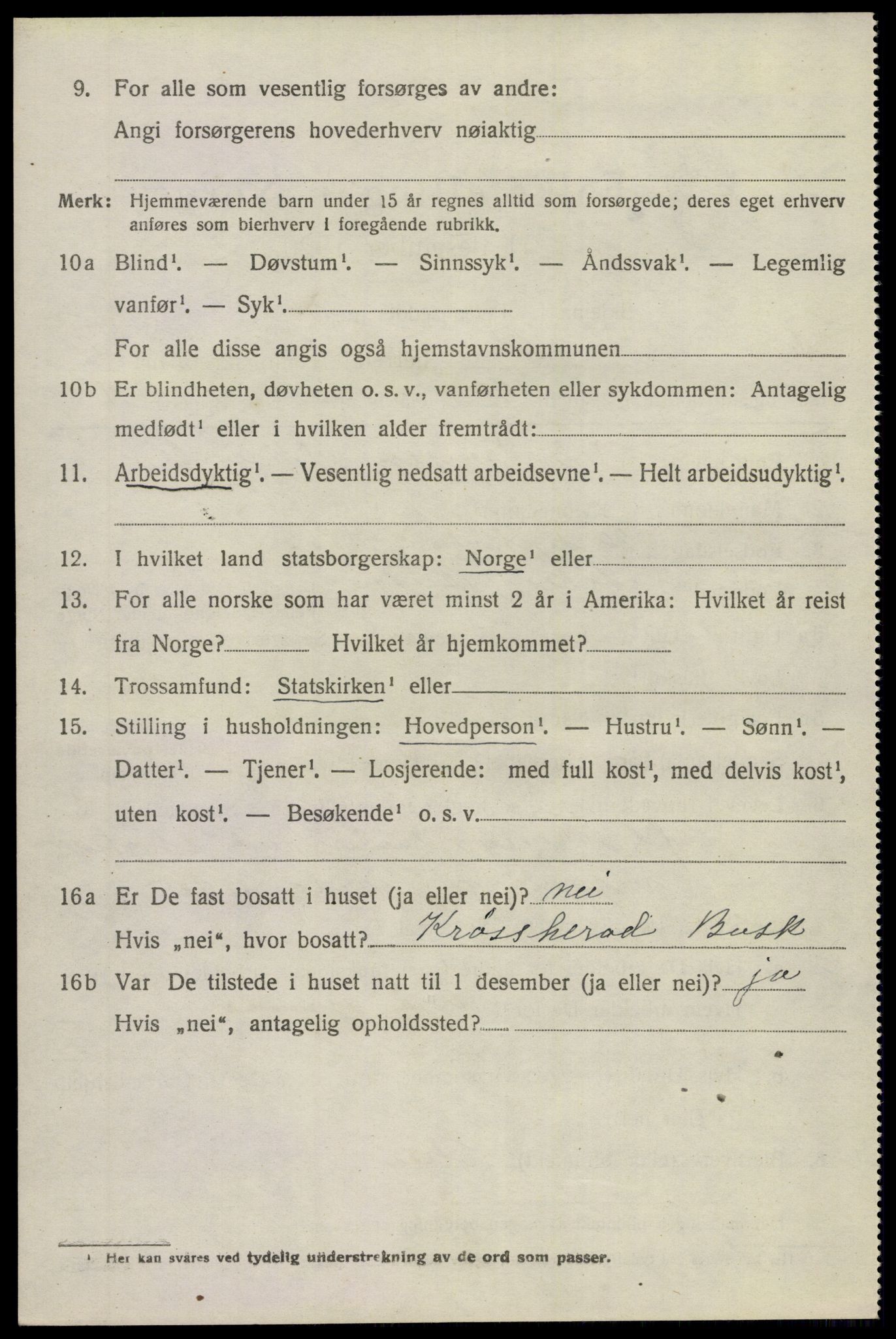 SAKO, 1920 census for Hol (Buskerud), 1920, p. 5294