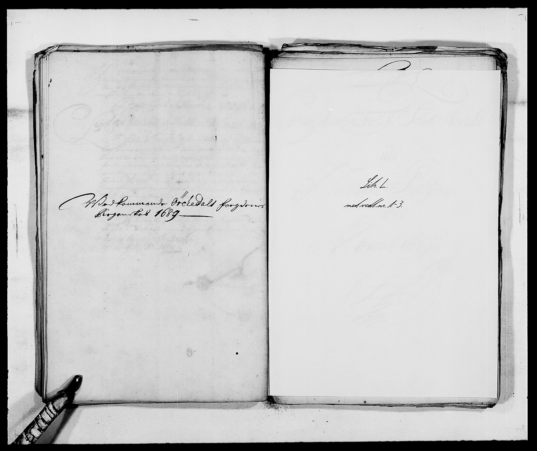 Rentekammeret inntil 1814, Reviderte regnskaper, Fogderegnskap, AV/RA-EA-4092/R58/L3936: Fogderegnskap Orkdal, 1689-1690, p. 118