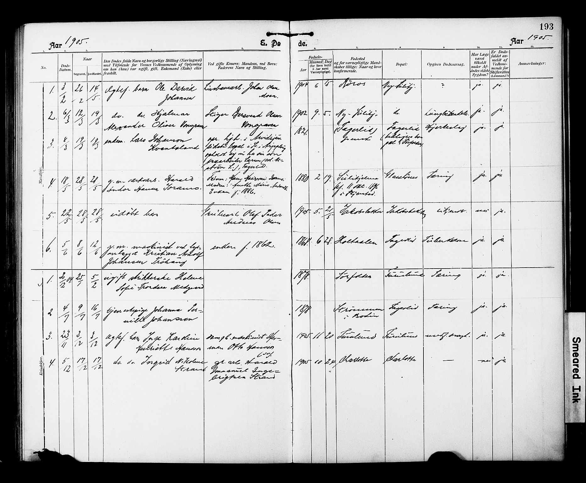 Ministerialprotokoller, klokkerbøker og fødselsregistre - Nordland, AV/SAT-A-1459/850/L0709: Parish register (official) no. 850A01, 1899-1909, p. 193