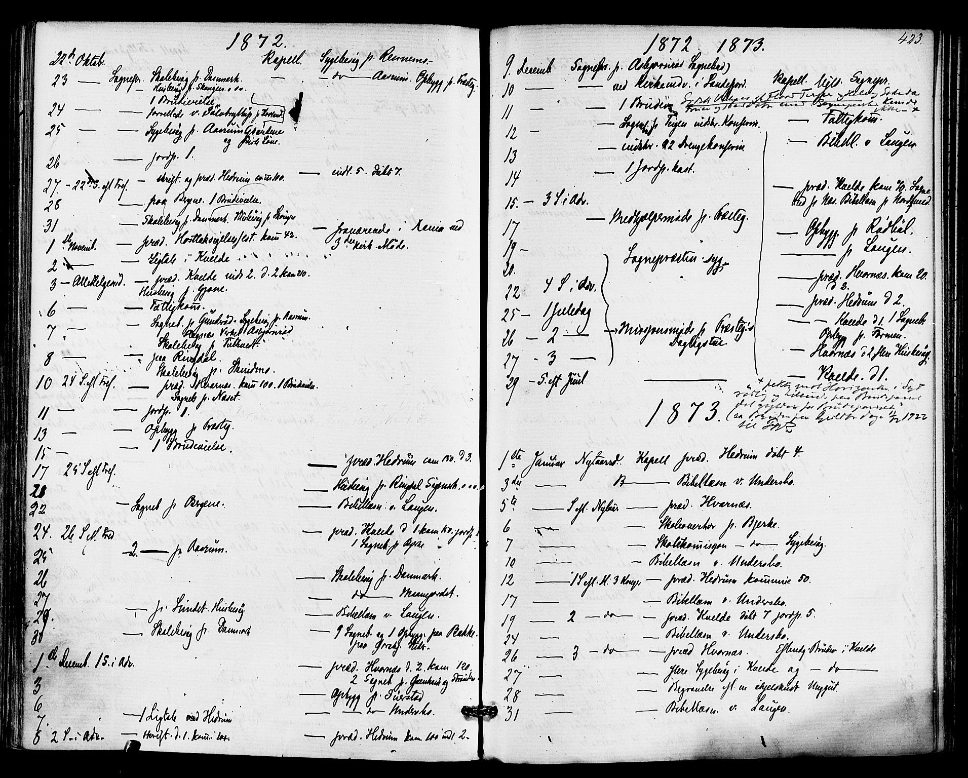Hedrum kirkebøker, AV/SAKO-A-344/F/Fa/L0008: Parish register (official) no. I 8, 1869-1880, p. 423