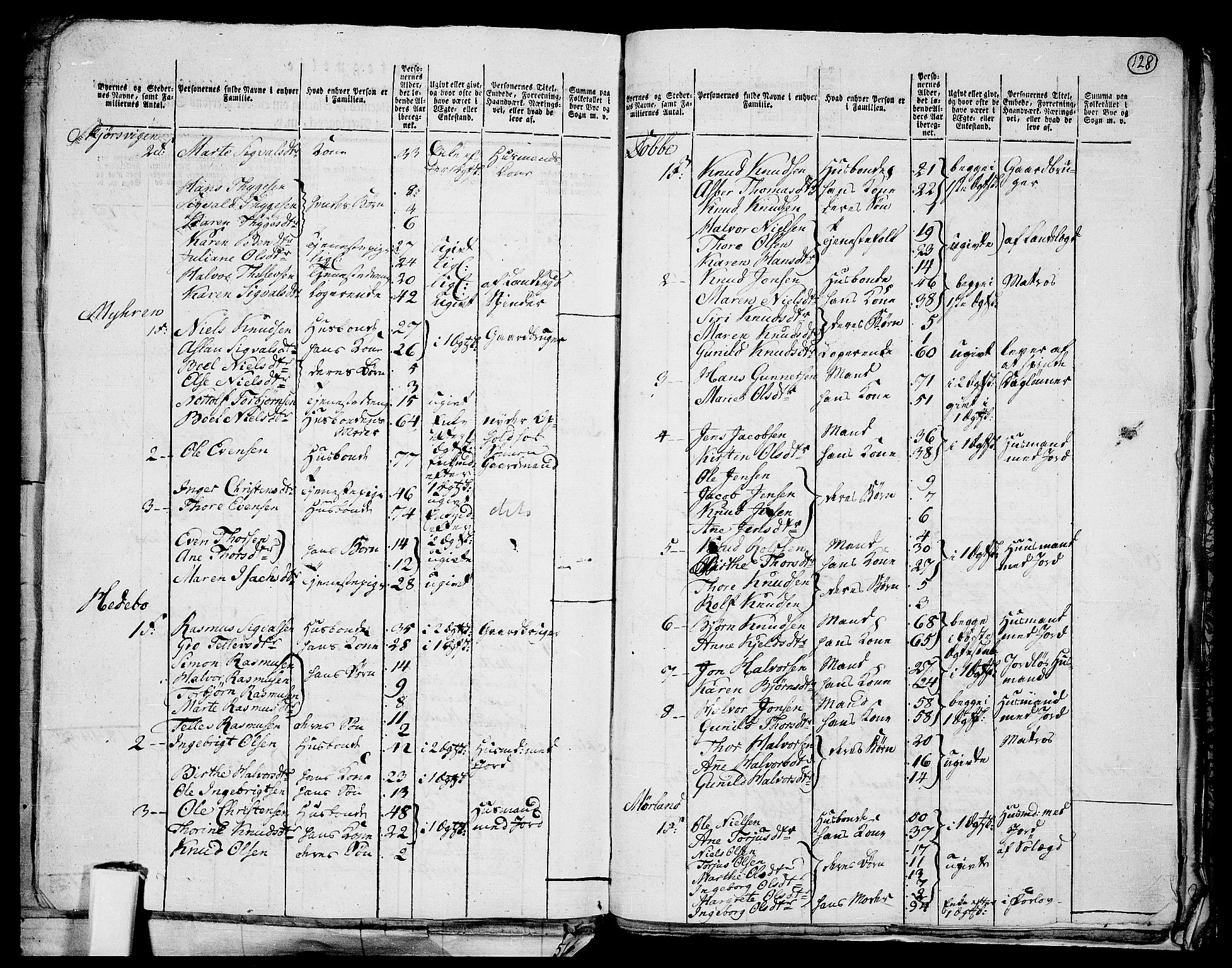 RA, 1801 census for 0801P Kragerø, 1801, p. 127b-128a