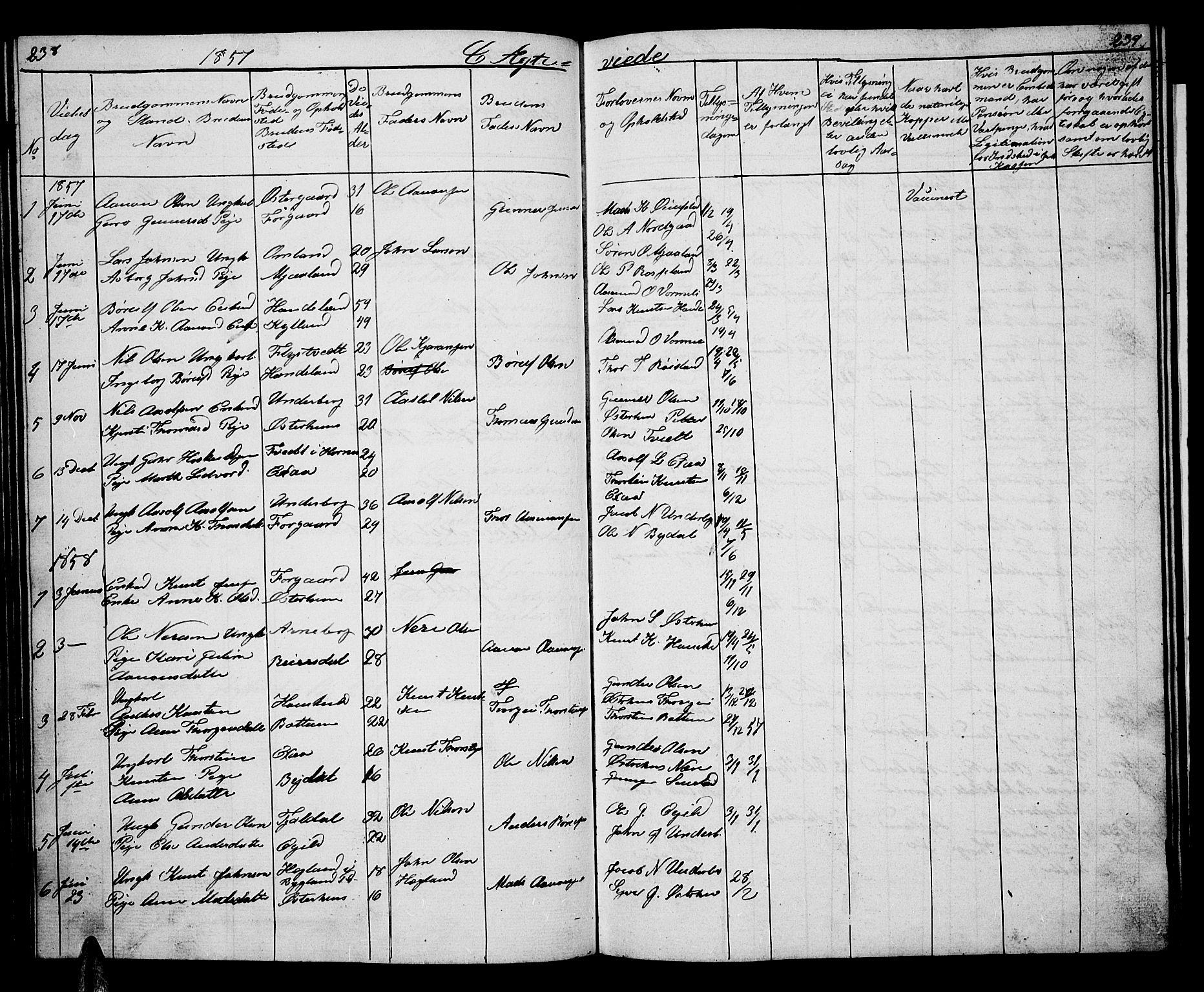 Åseral sokneprestkontor, AV/SAK-1111-0051/F/Fb/L0001: Parish register (copy) no. B 1, 1856-1877, p. 238-239