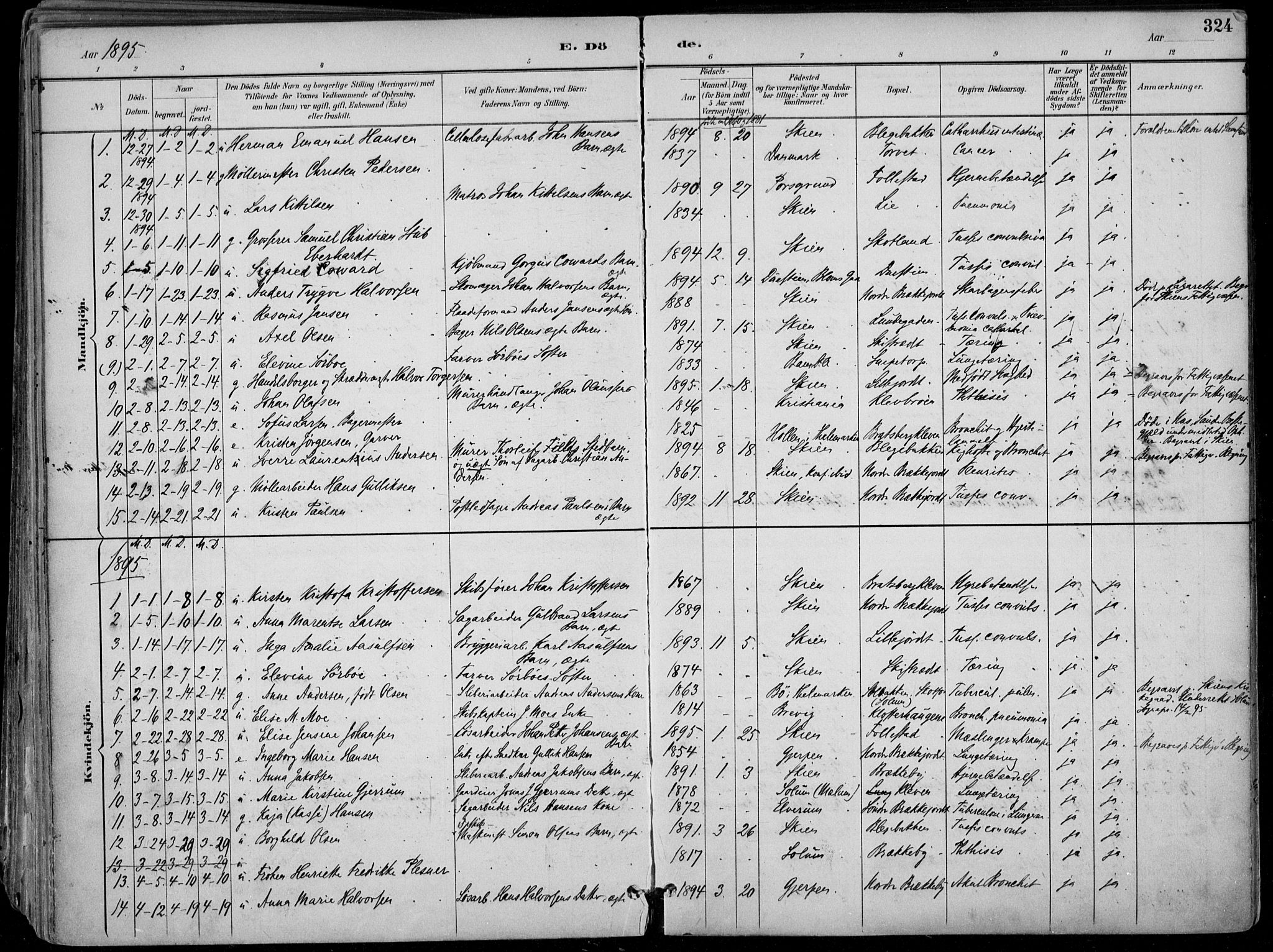 Skien kirkebøker, SAKO/A-302/F/Fa/L0010: Parish register (official) no. 10, 1891-1899, p. 324