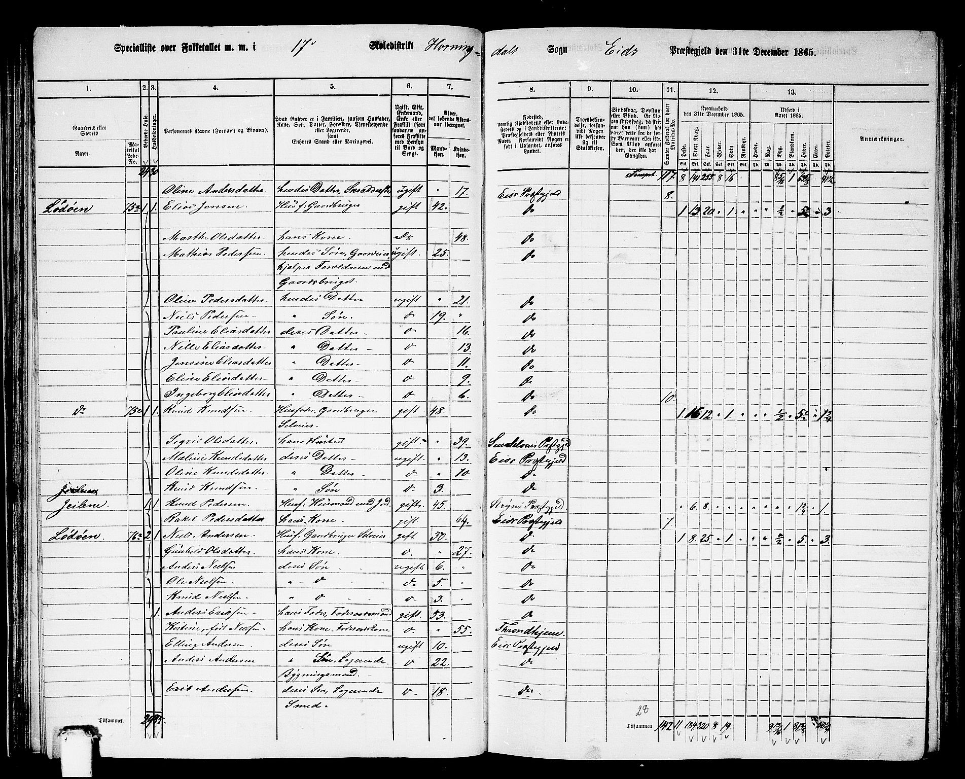 RA, 1865 census for Eid, 1865, p. 49