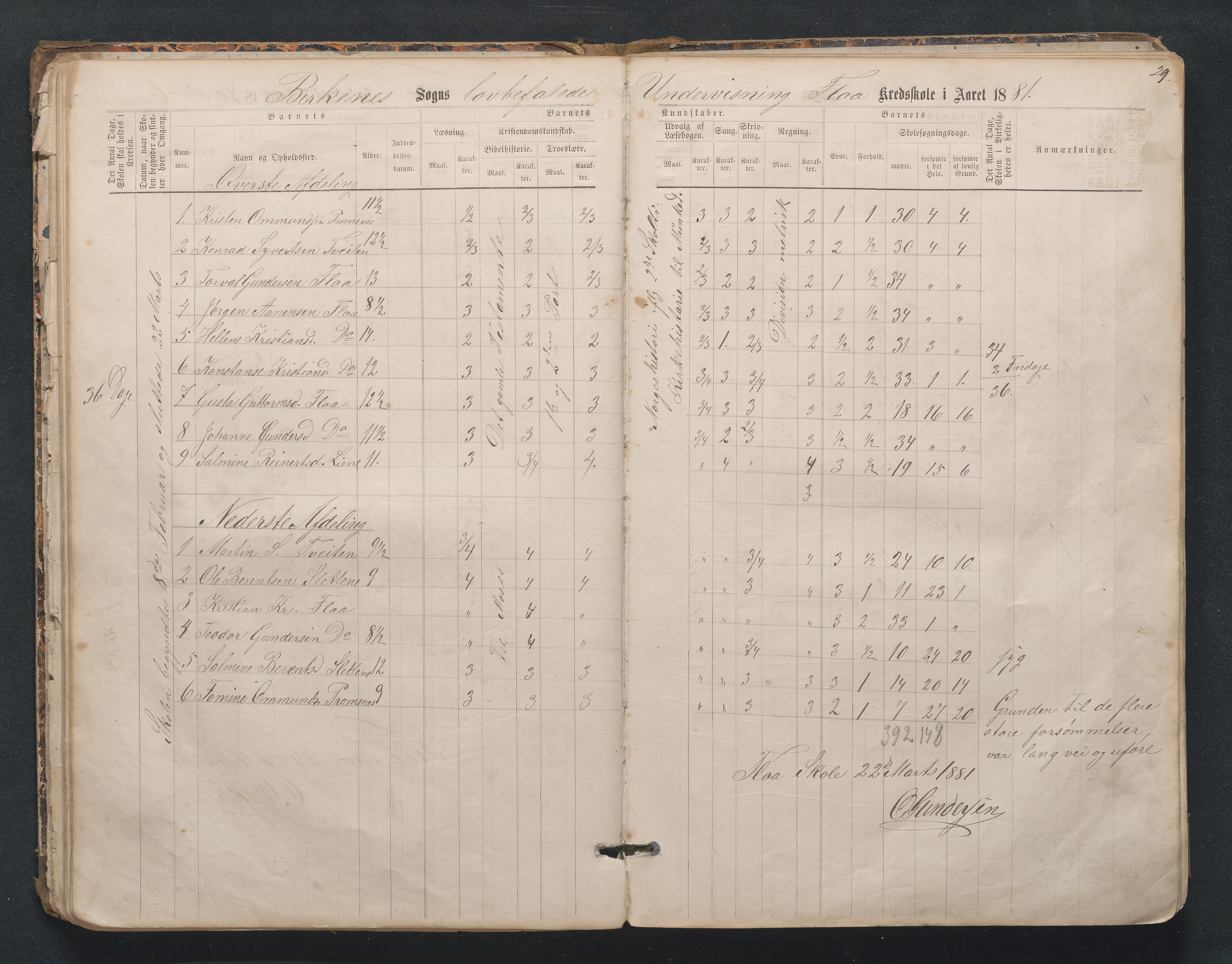 Birkenes kommune, Mosfjell skolekrets, AAKS/KA0928-550f_91/F02/L0001: Skoleprotokoll Flå og Mosfjell, 1867-1909, p. 29