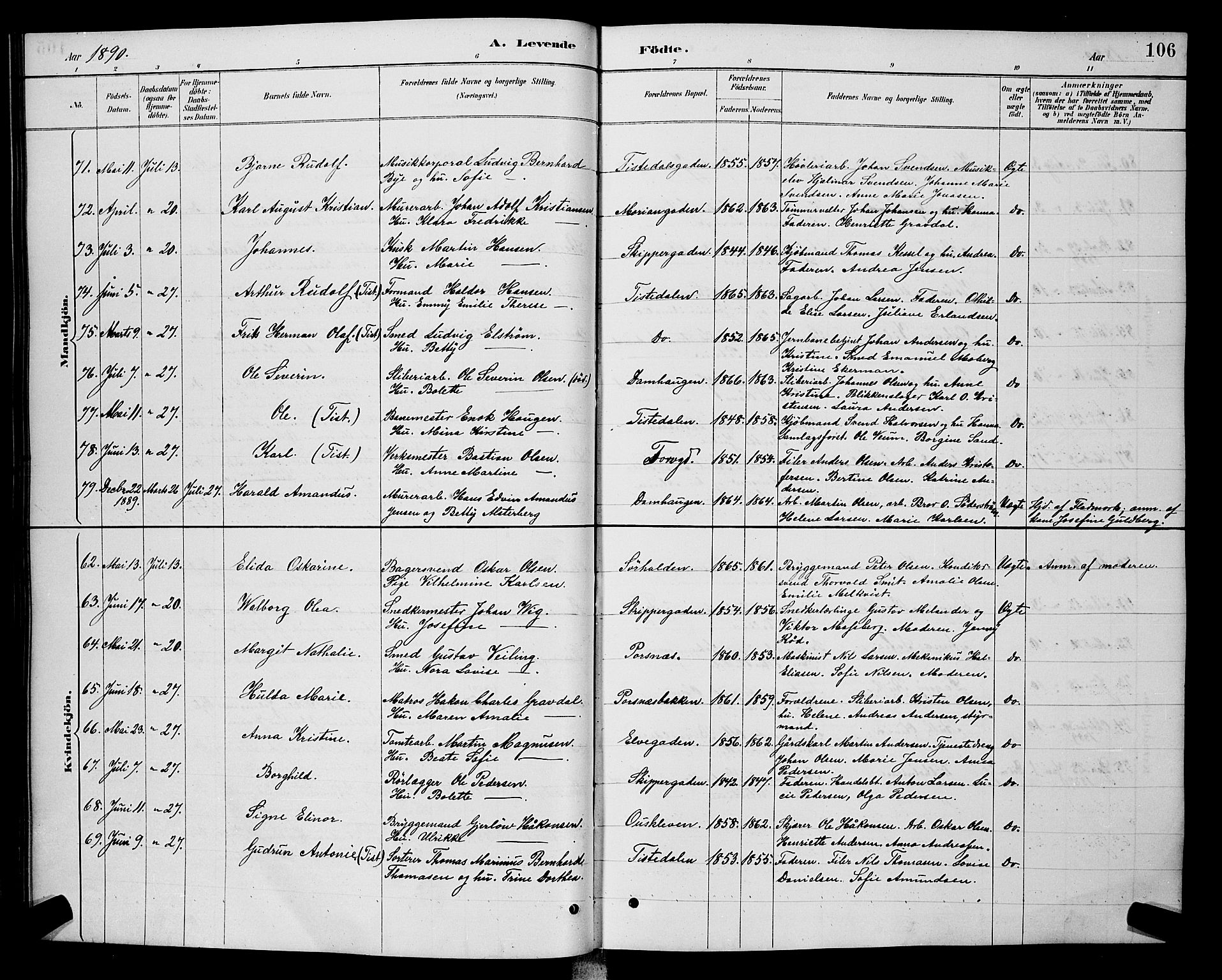 Halden prestekontor Kirkebøker, AV/SAO-A-10909/G/Ga/L0008: Parish register (copy) no. 8, 1885-1899, p. 106