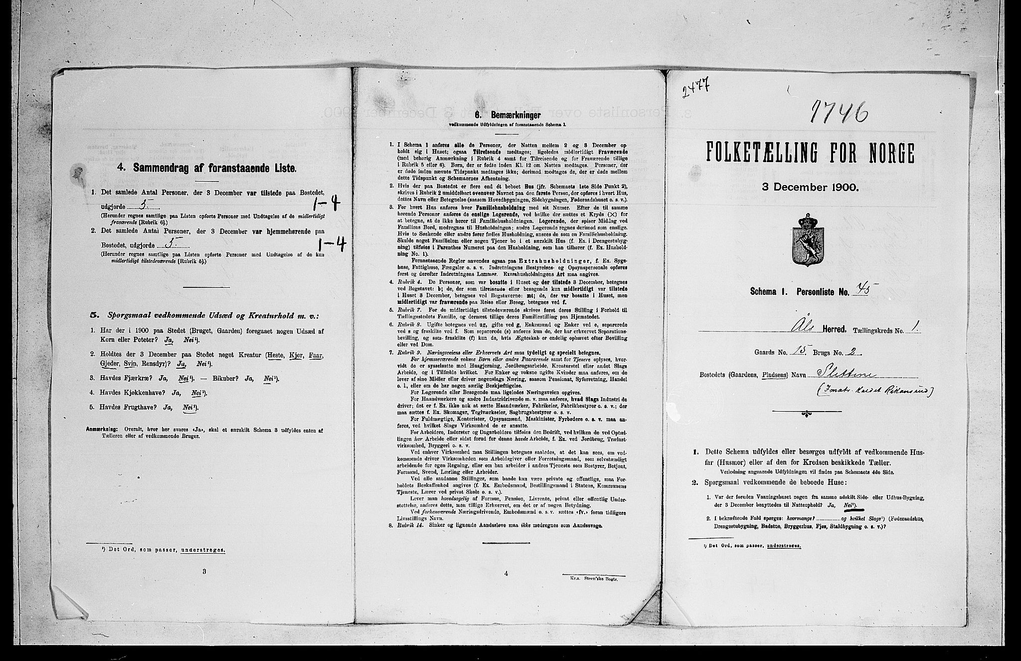 RA, 1900 census for Ål, 1900, p. 47