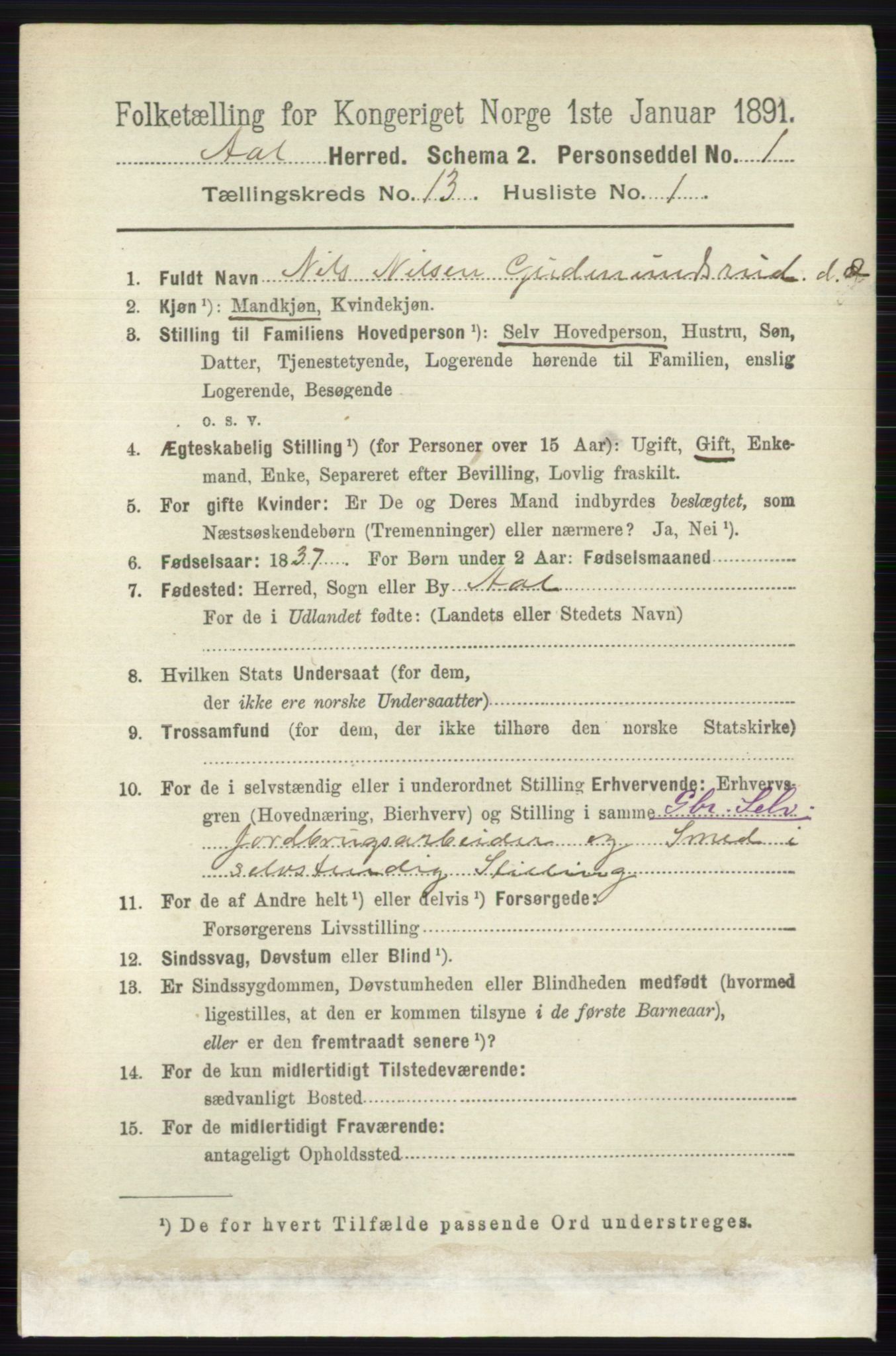 RA, 1891 census for 0619 Ål, 1891, p. 3258