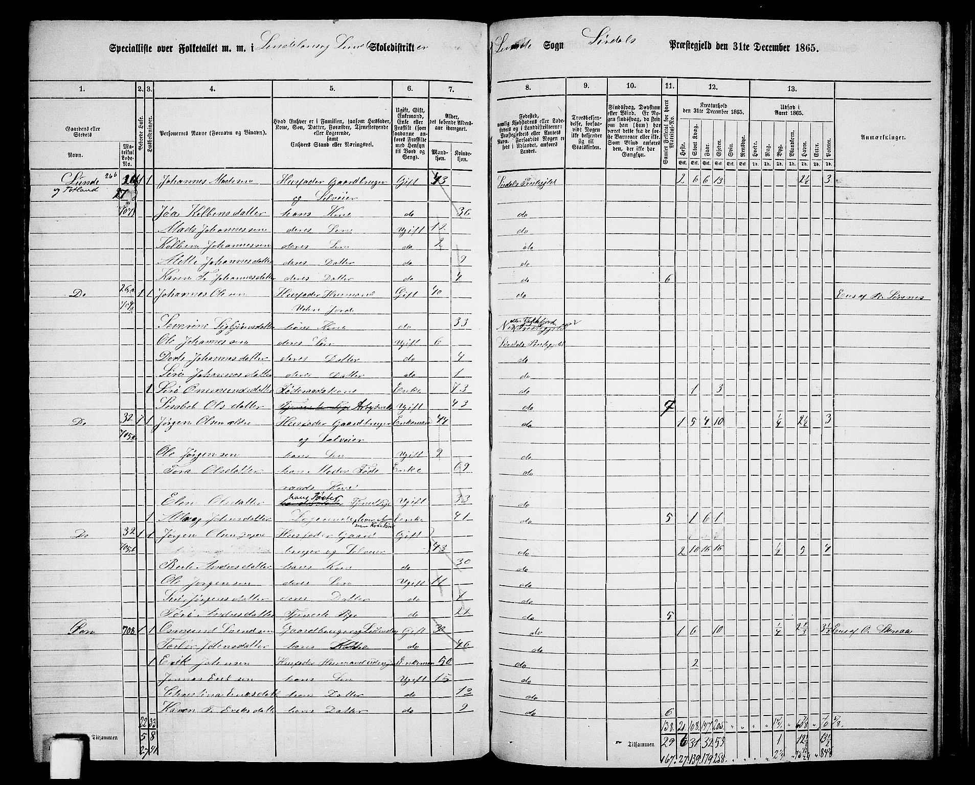 RA, 1865 census for Sirdal, 1865, p. 62