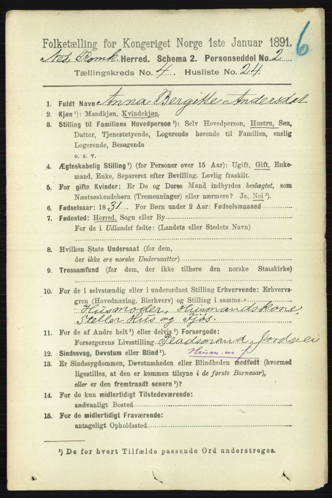 RA, 1891 census for 0236 Nes, 1891, p. 2392