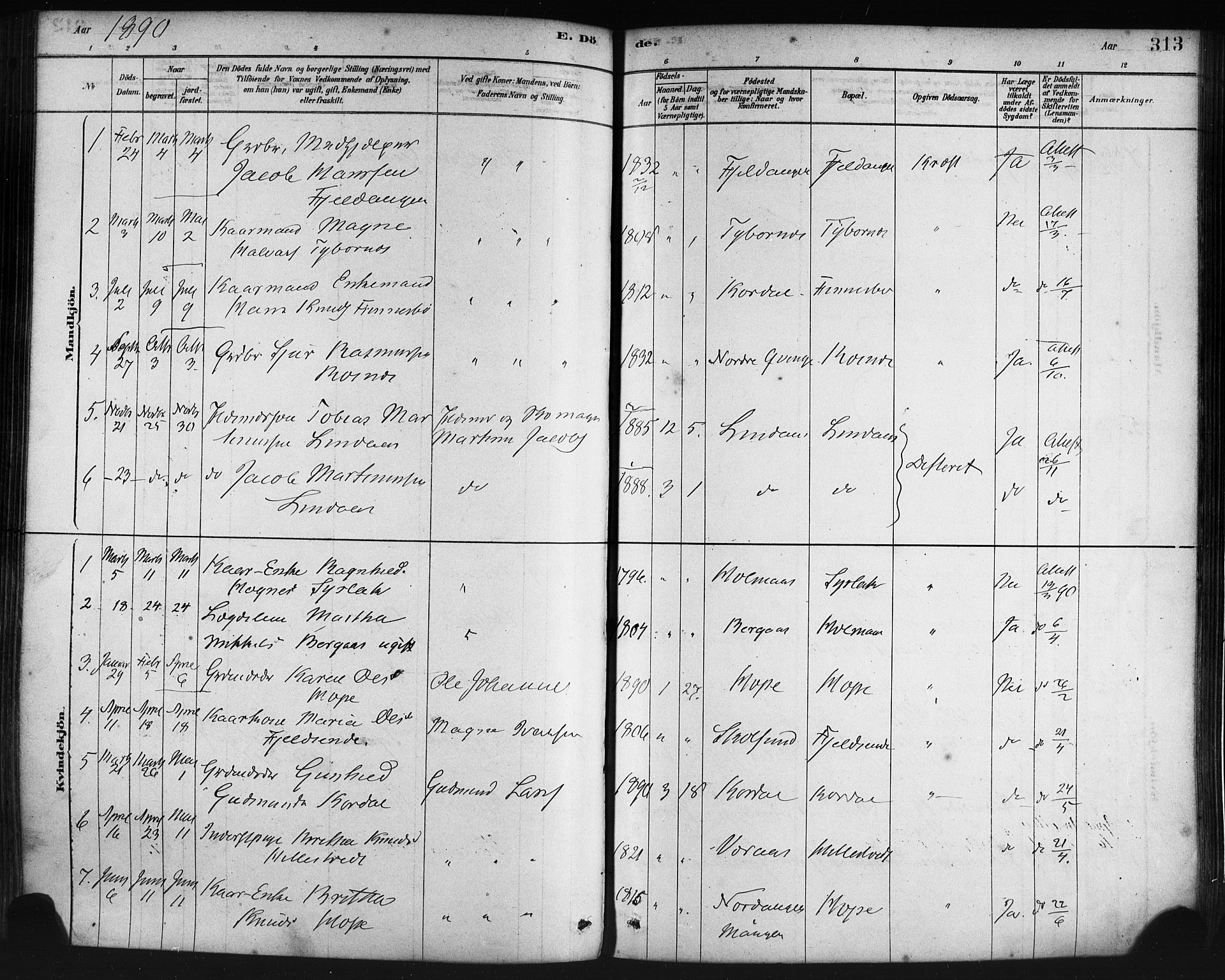 Lindås Sokneprestembete, SAB/A-76701/H/Haa: Parish register (official) no. A 19, 1878-1912, p. 313