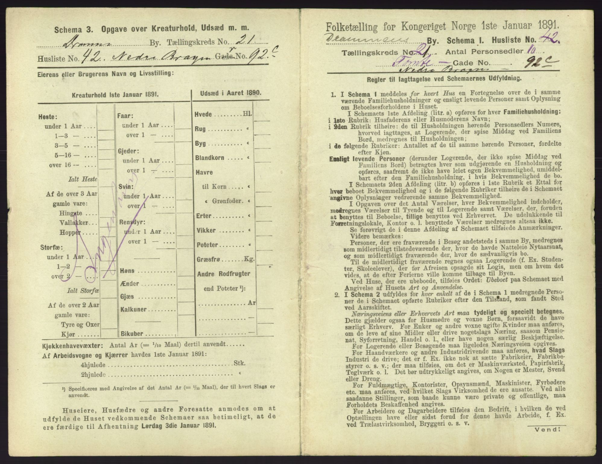 RA, 1891 census for 0602 Drammen, 1891, p. 1819