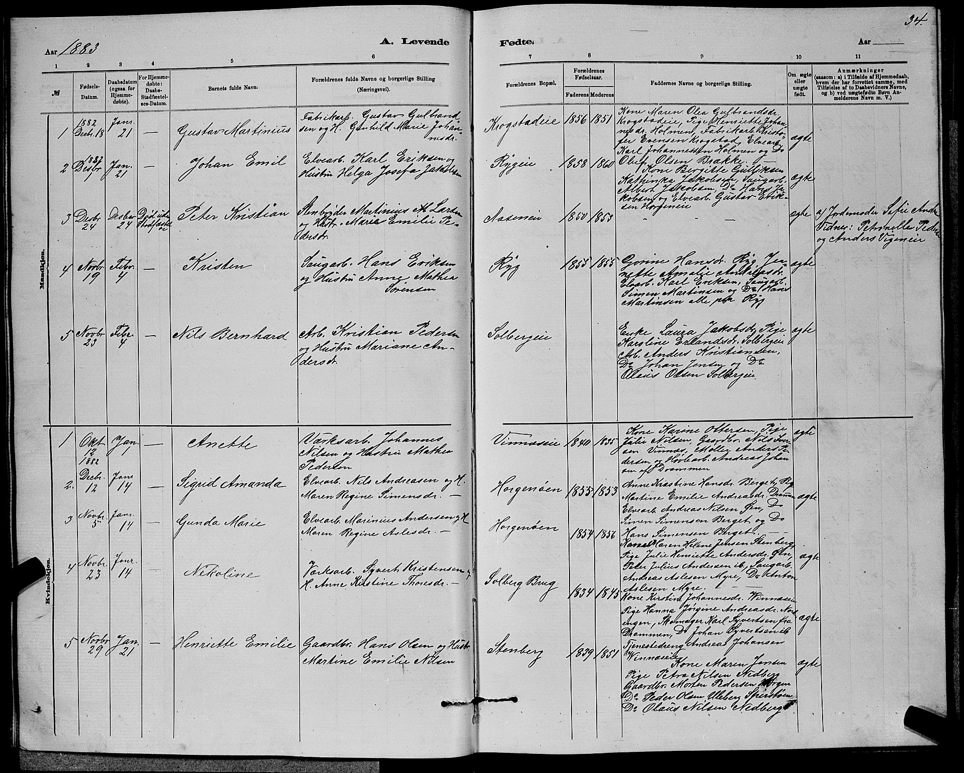 Nedre Eiker kirkebøker, AV/SAKO-A-612/G/Ga/L0002: Parish register (copy) no. 2, 1880-1896, p. 34