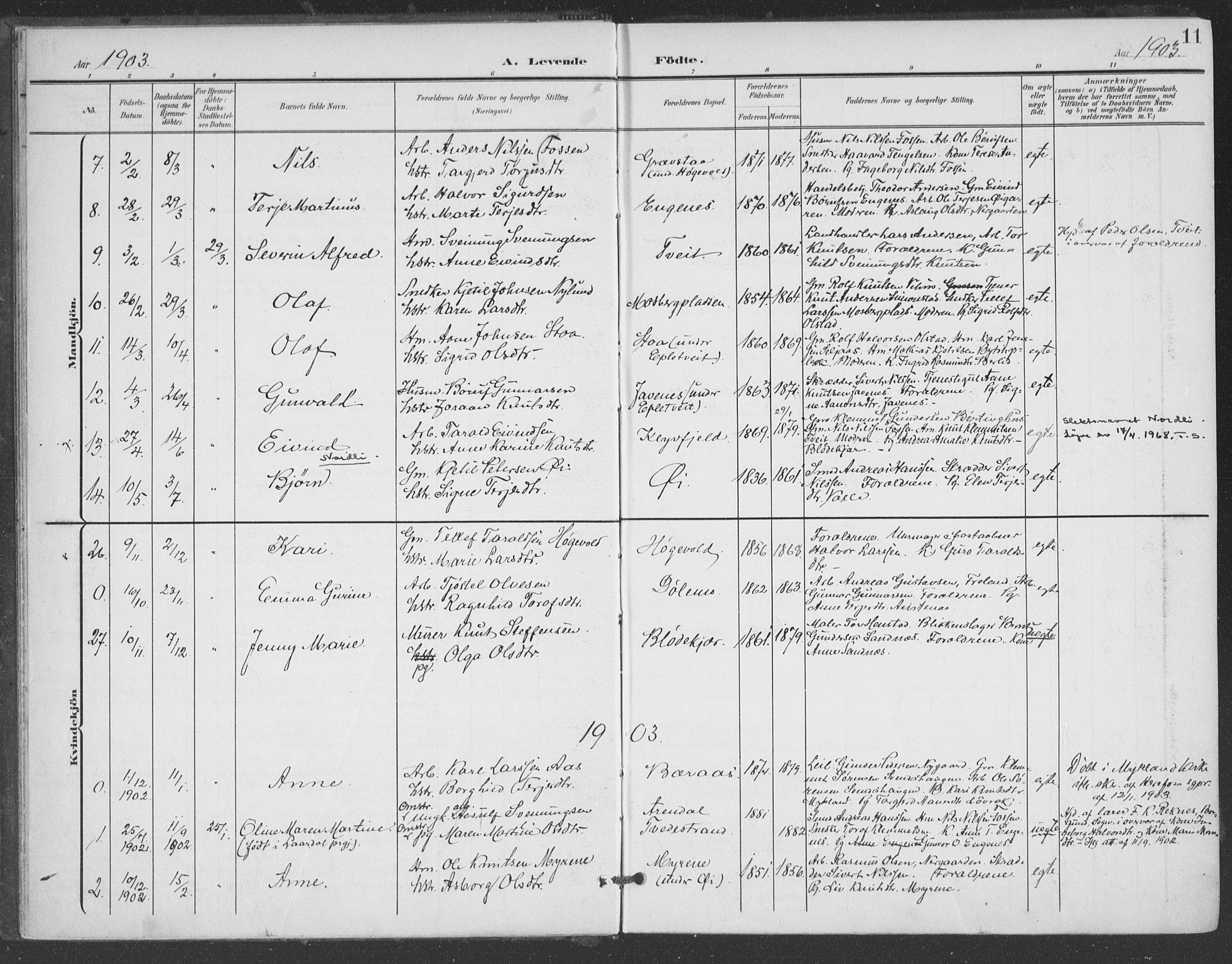 Åmli sokneprestkontor, SAK/1111-0050/F/Fa/Fac/L0012: Parish register (official) no. A 12, 1900-1914, p. 11