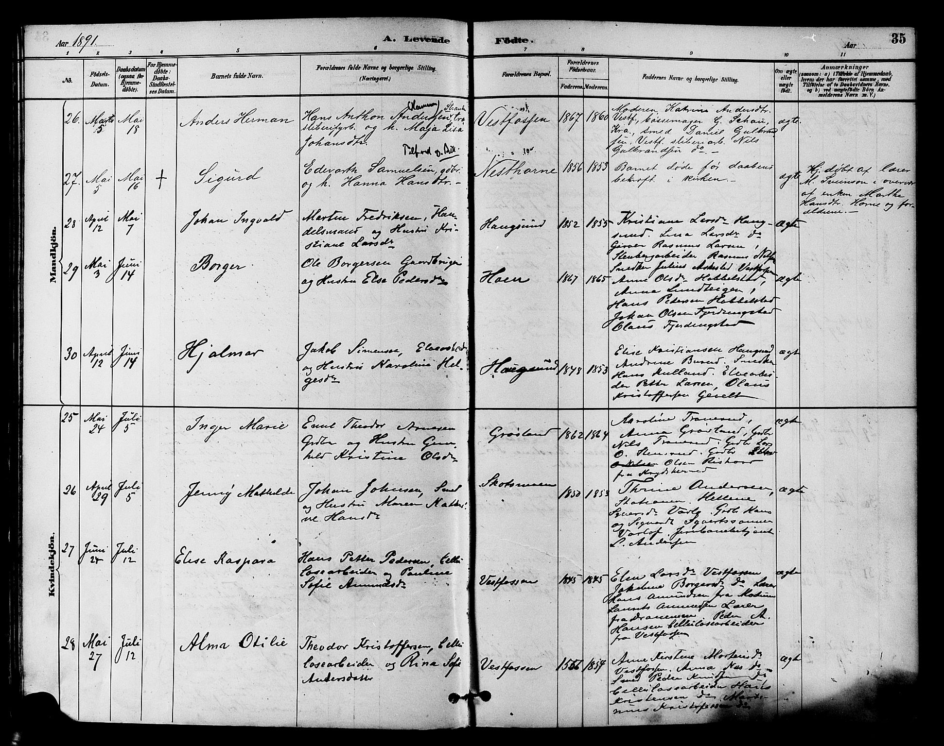 Eiker kirkebøker, AV/SAKO-A-4/F/Fb/L0002: Parish register (official) no. II 2, 1889-1896, p. 35