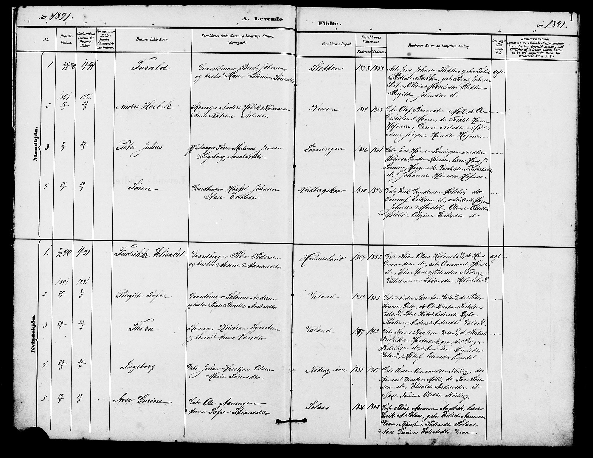 Holum sokneprestkontor, SAK/1111-0022/F/Fb/Fba/L0005: Parish register (copy) no. B 5, 1891-1909, p. 1
