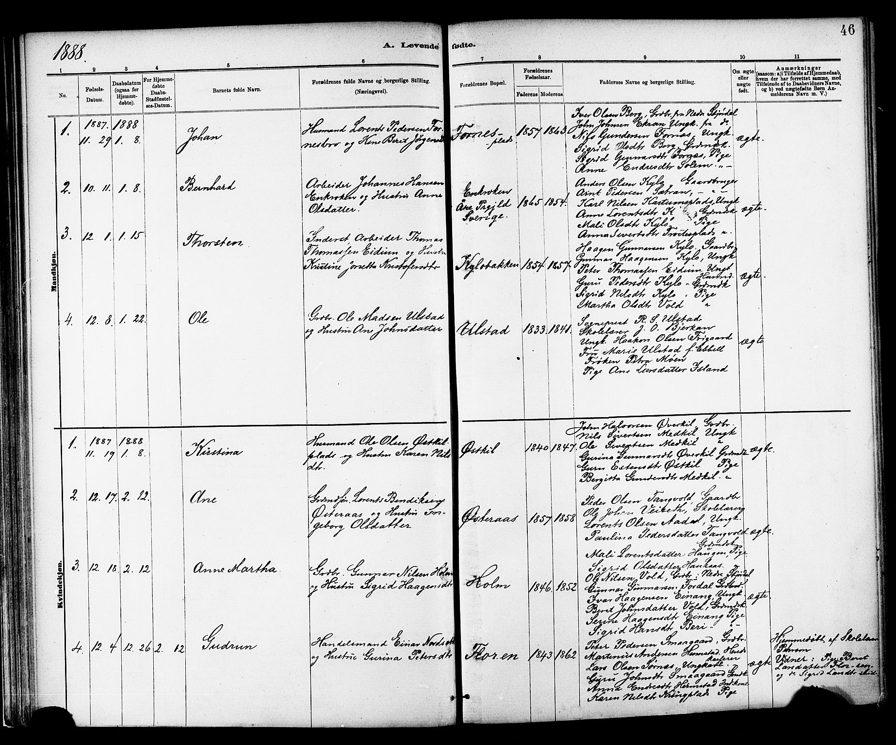 Ministerialprotokoller, klokkerbøker og fødselsregistre - Nord-Trøndelag, AV/SAT-A-1458/703/L0030: Parish register (official) no. 703A03, 1880-1892, p. 46