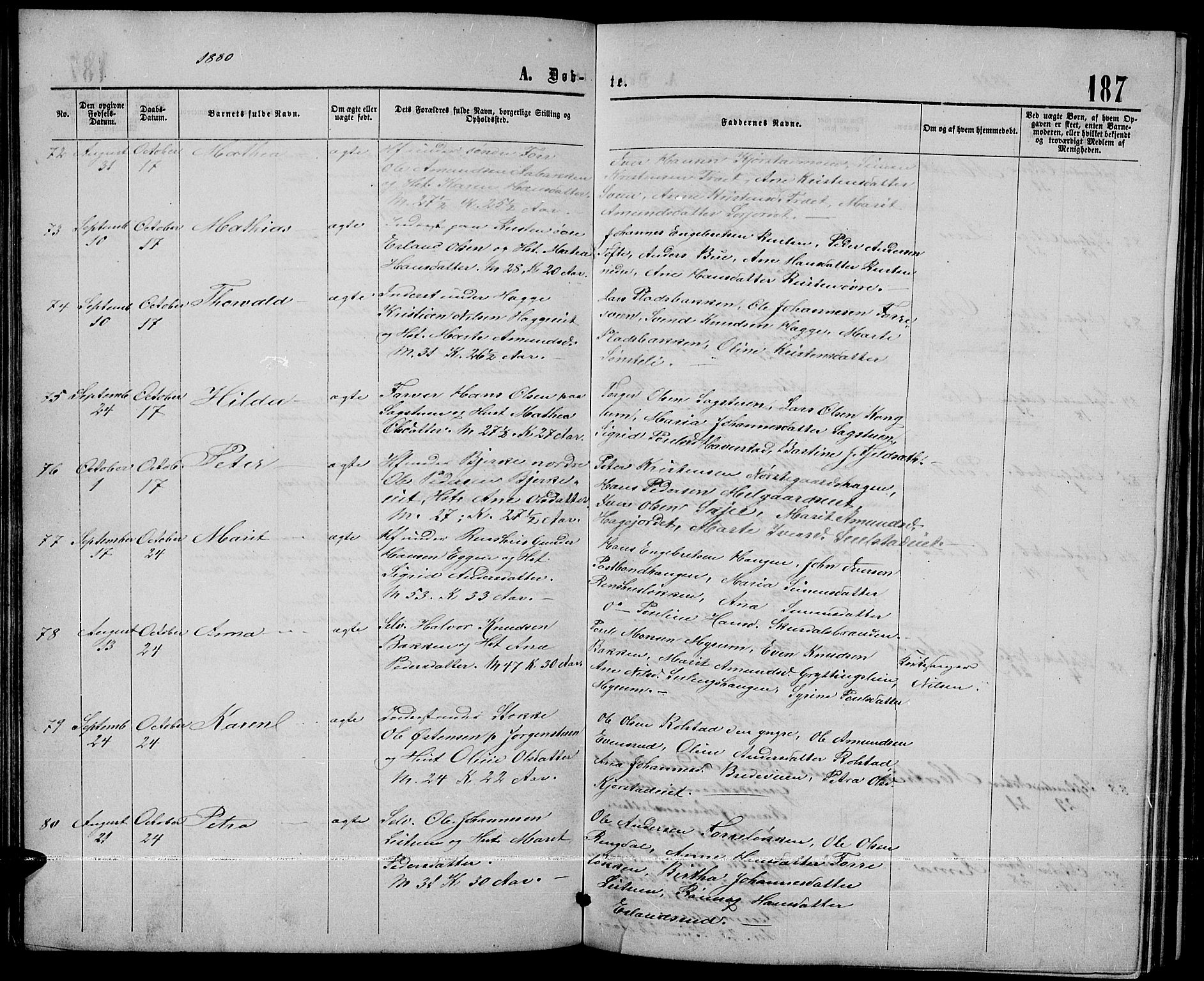 Sør-Fron prestekontor, AV/SAH-PREST-010/H/Ha/Hab/L0002: Parish register (copy) no. 2, 1864-1883, p. 187