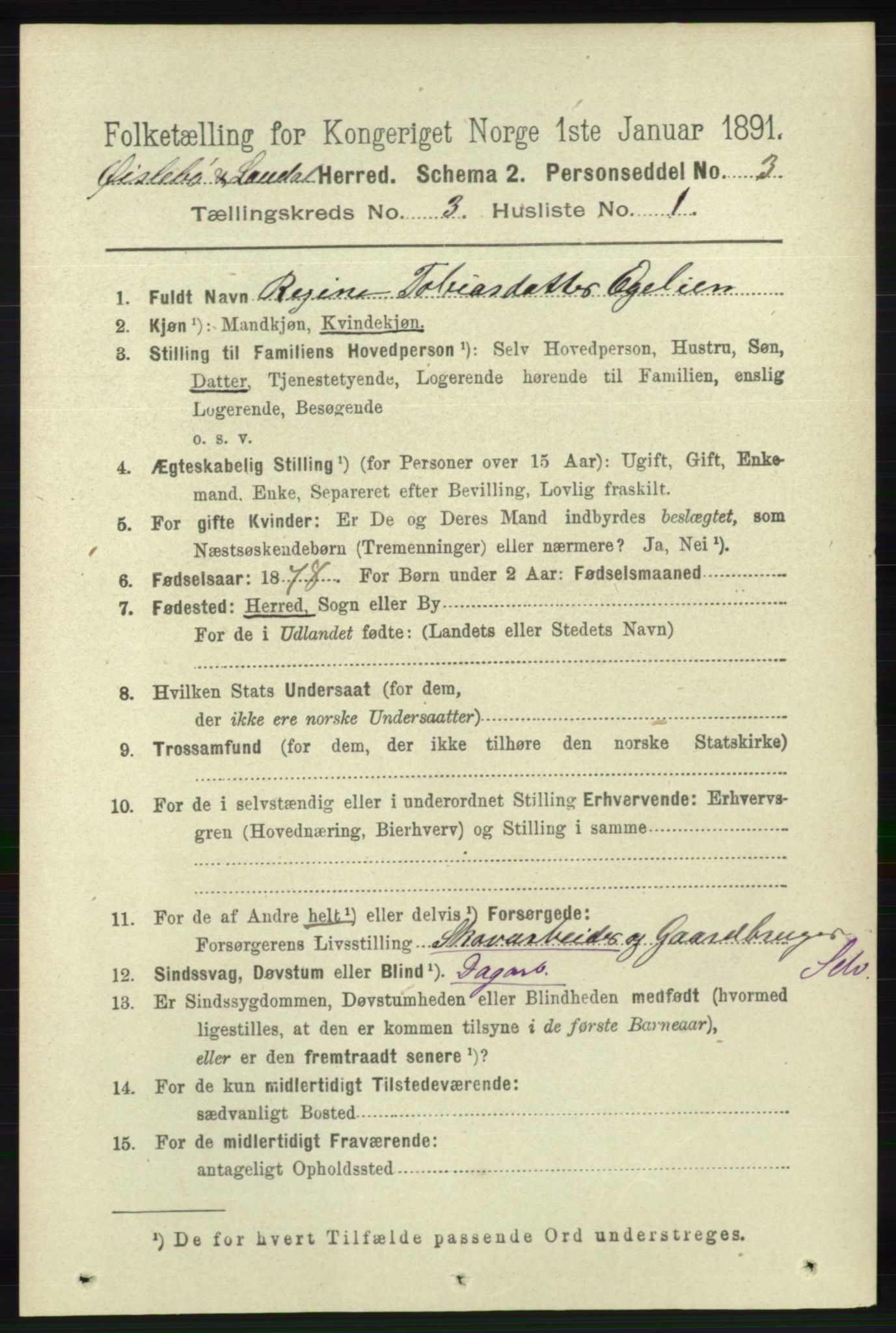 RA, 1891 census for 1021 Øyslebø og Laudal, 1891, p. 744