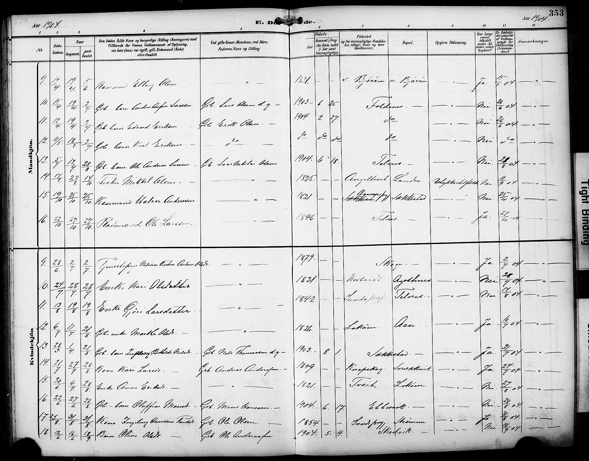 Fjell sokneprestembete, AV/SAB-A-75301/H/Hab: Parish register (copy) no. A 5, 1899-1918, p. 353