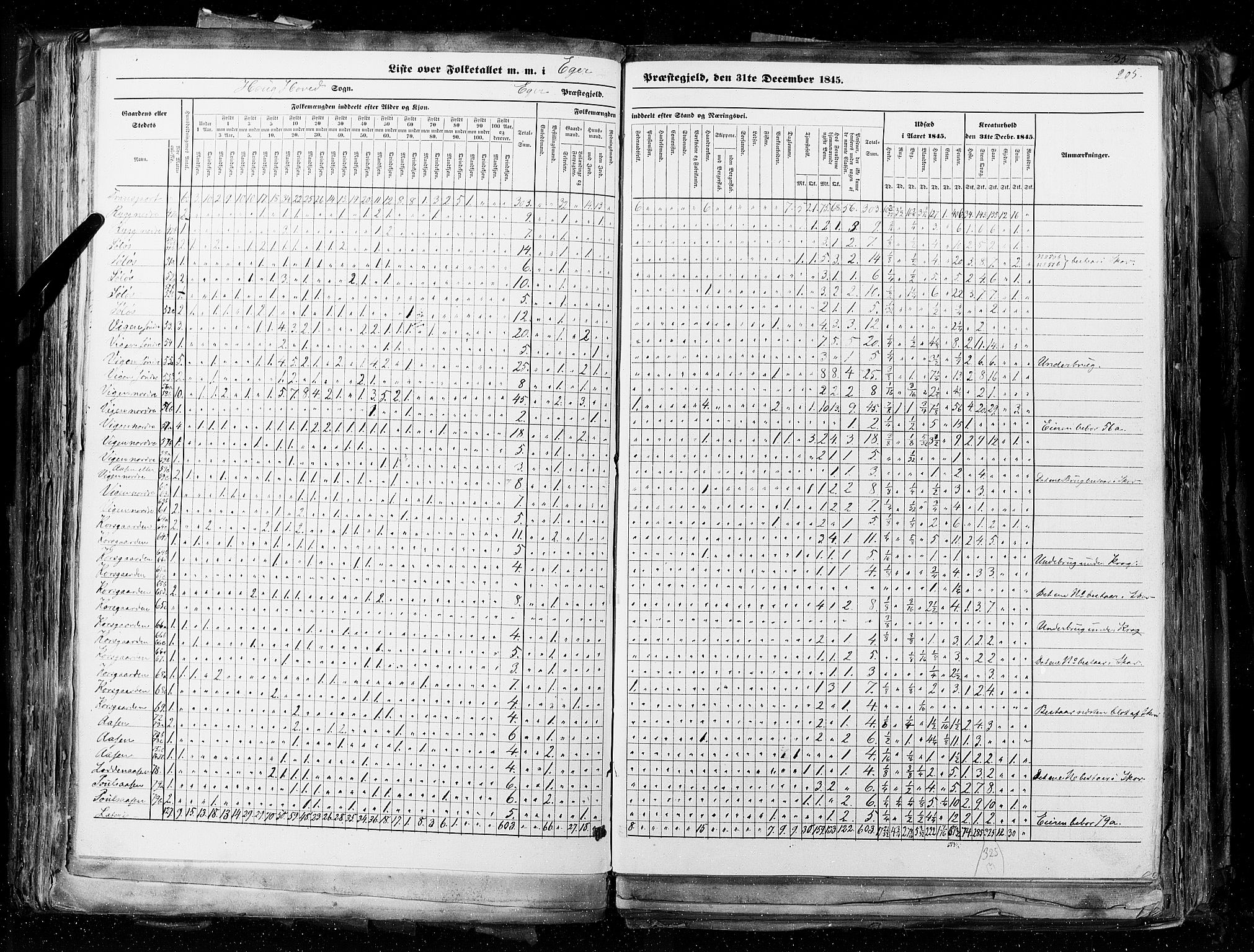 RA, Census 1845, vol. 4: Buskerud amt og Jarlsberg og Larvik amt, 1845, p. 205