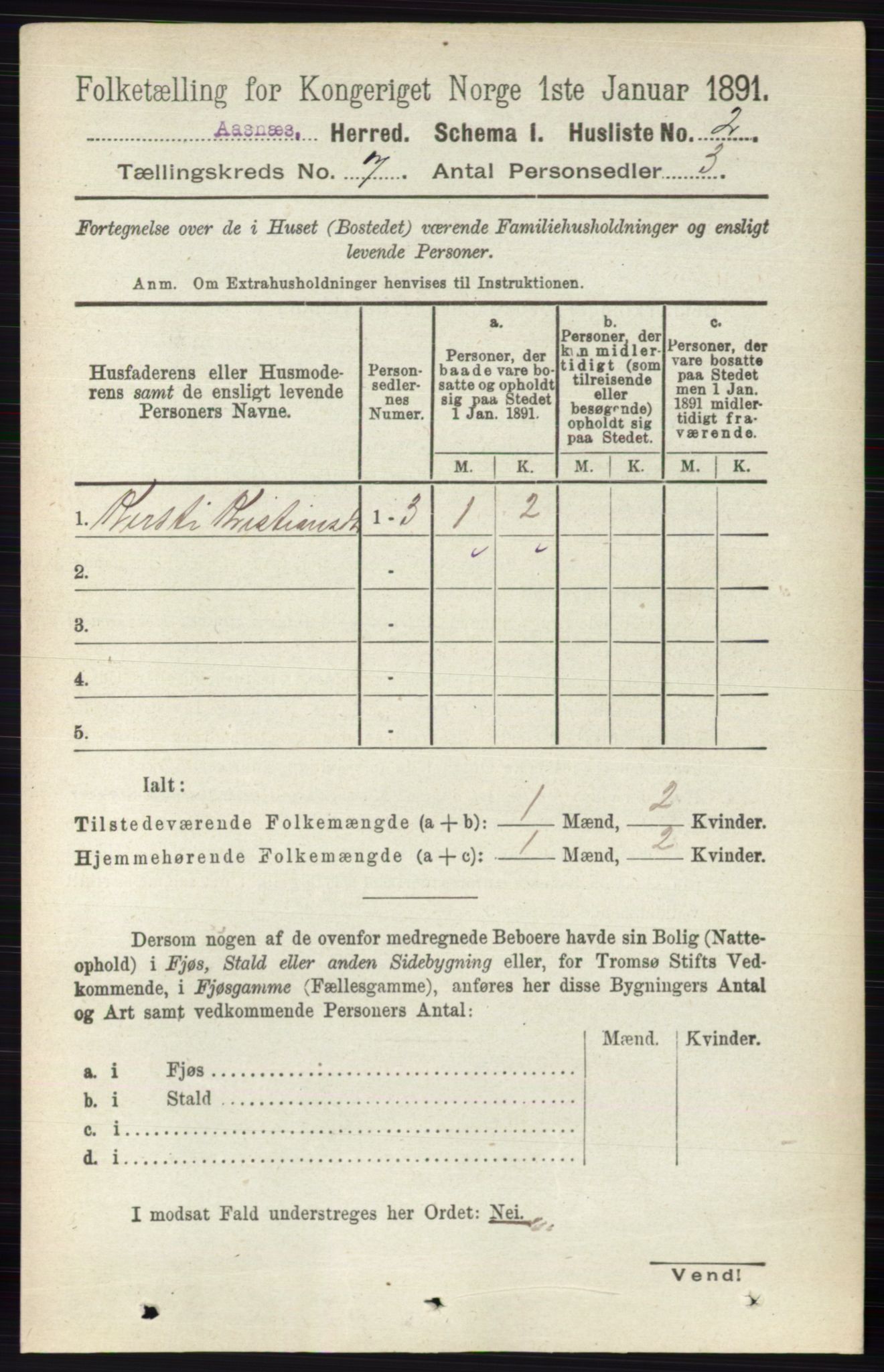 RA, 1891 census for 0425 Åsnes, 1891, p. 3237