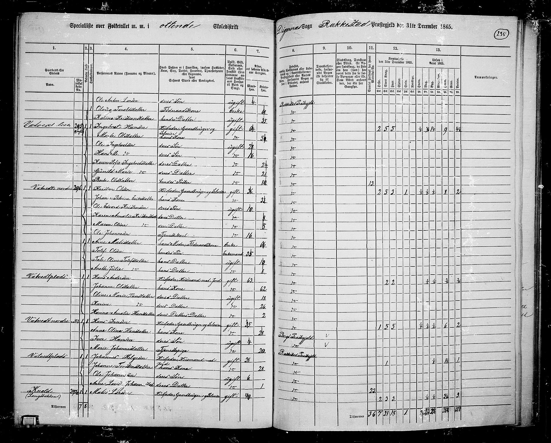 RA, 1865 census for Rakkestad, 1865, p. 226