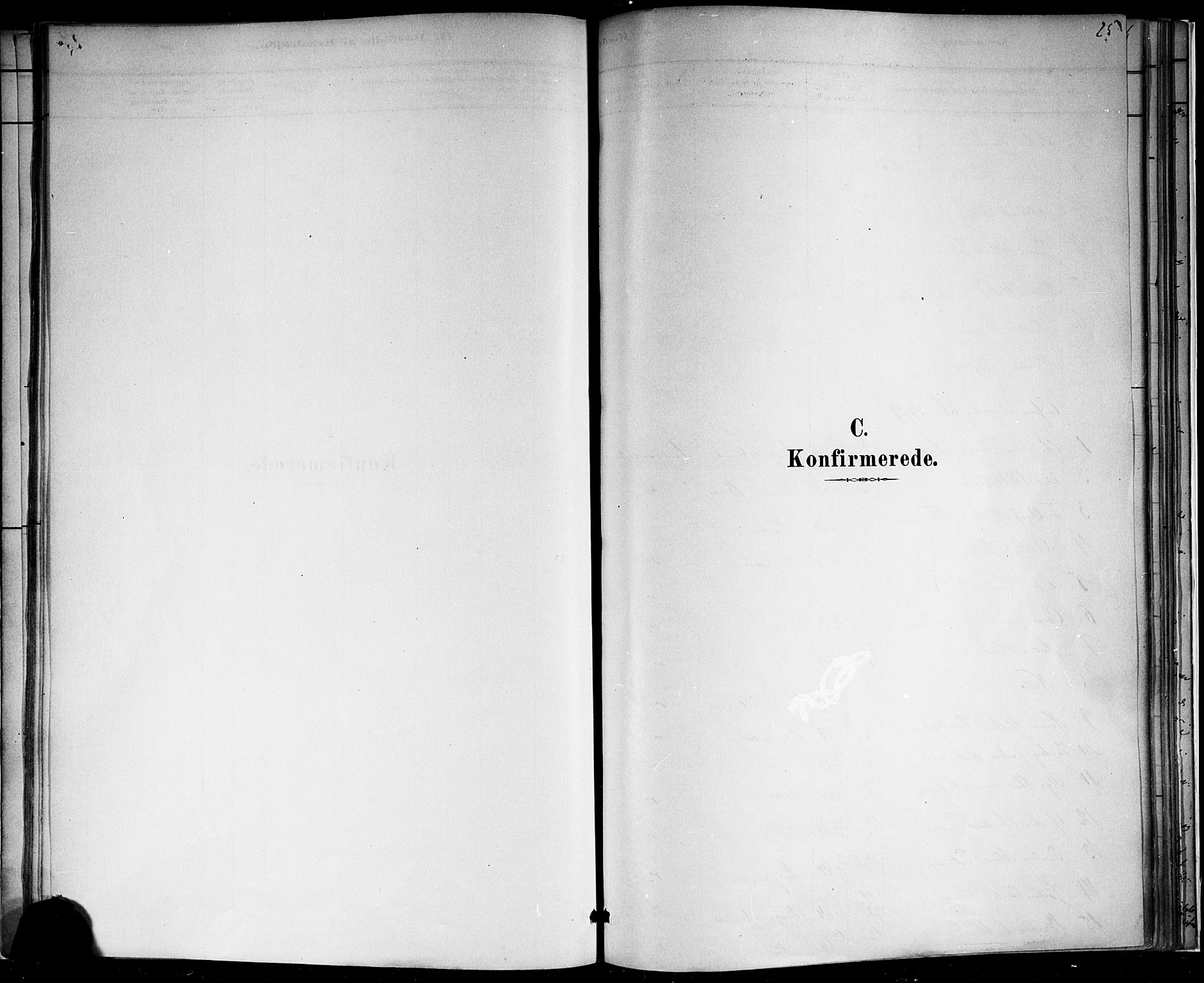 Borre kirkebøker, SAKO/A-338/F/Fb/L0001: Parish register (official) no. II 1, 1878-1892, p. 25