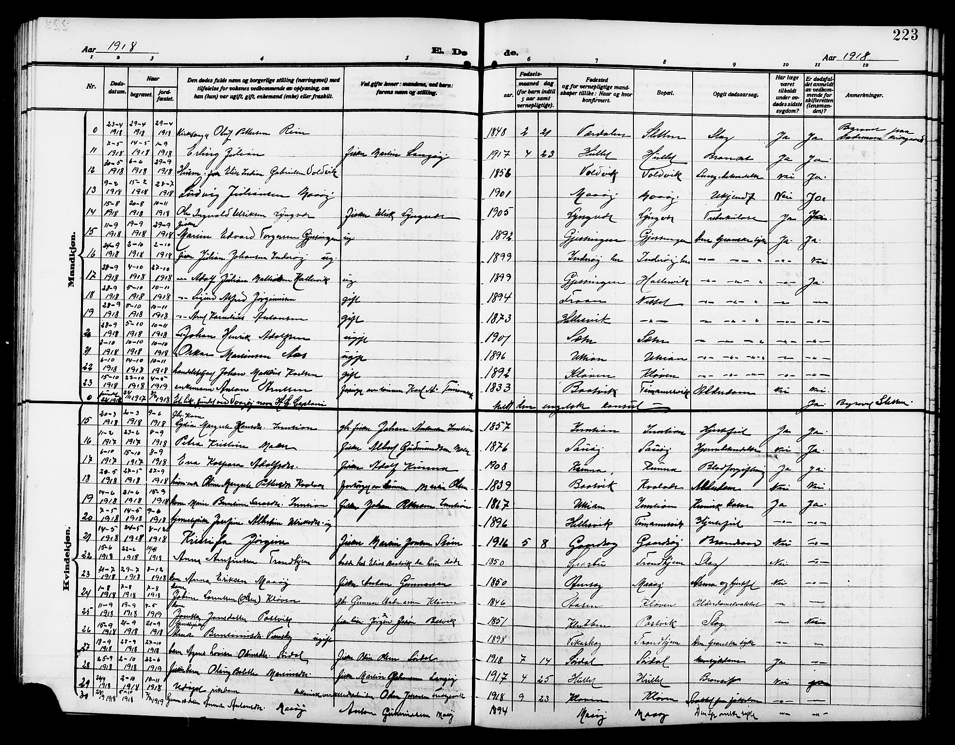 Ministerialprotokoller, klokkerbøker og fødselsregistre - Sør-Trøndelag, SAT/A-1456/640/L0588: Parish register (copy) no. 640C05, 1909-1922, p. 223