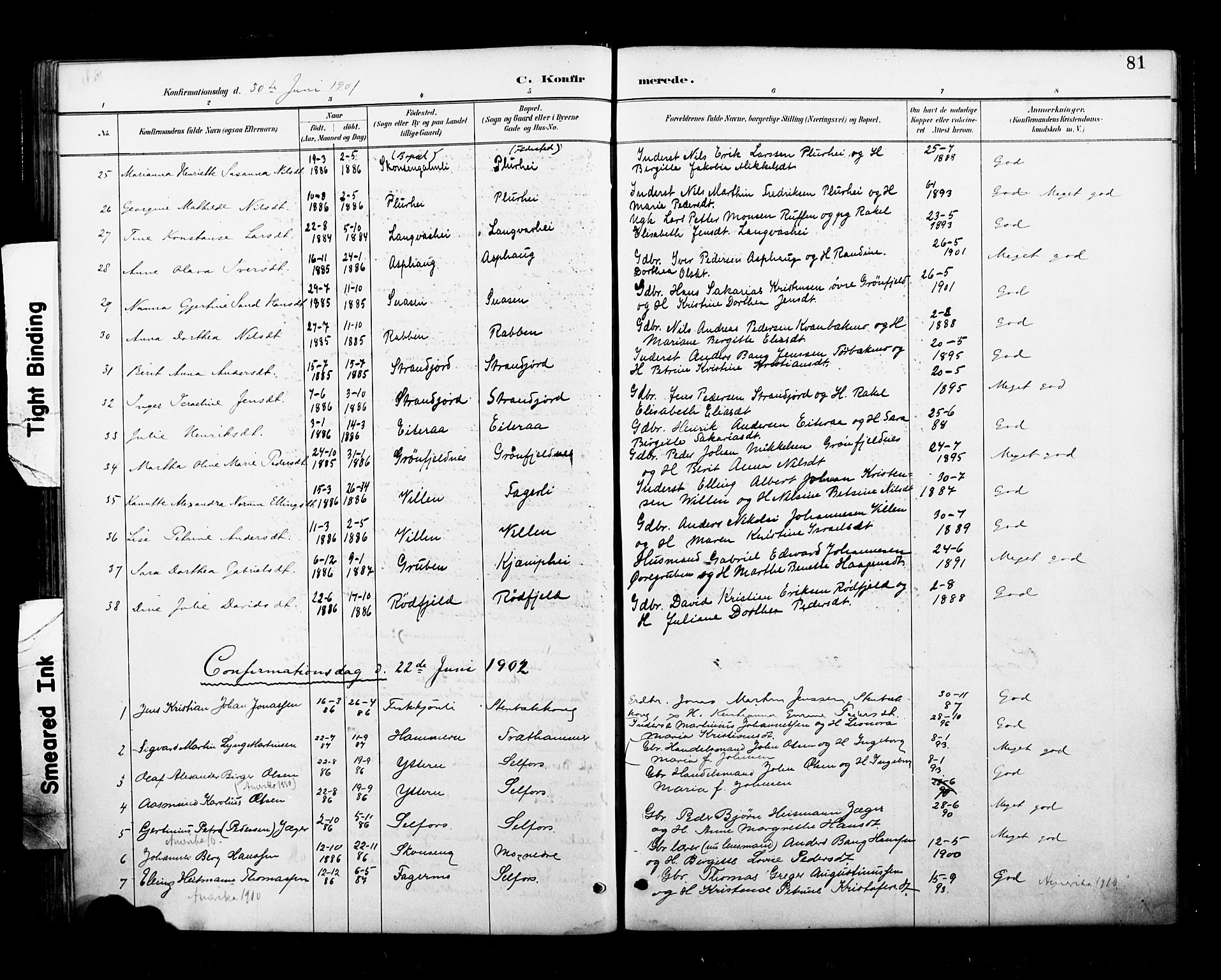 Ministerialprotokoller, klokkerbøker og fødselsregistre - Nordland, AV/SAT-A-1459/827/L0401: Parish register (official) no. 827A13, 1887-1905, p. 81